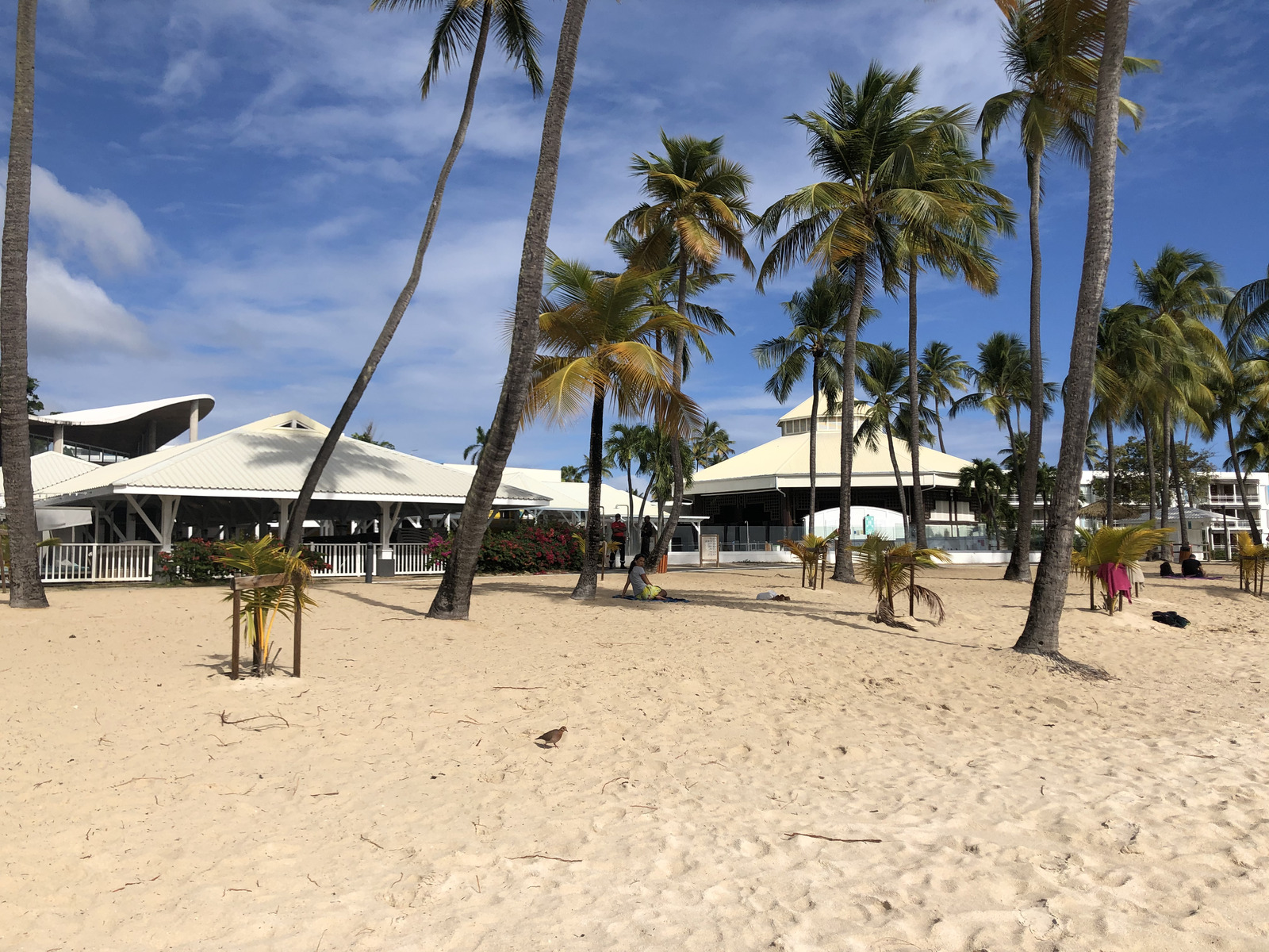 Picture Guadeloupe La Caravelle Beach 2021-02 39 - Sightseeing La Caravelle Beach