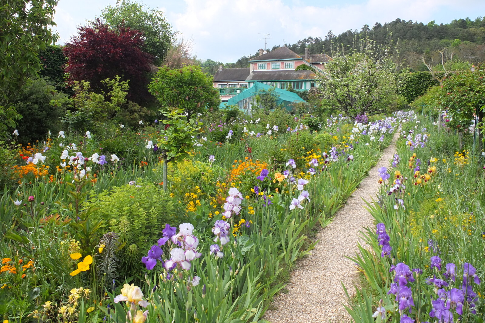 Picture France Giverny 2013-06 75 - Road Giverny