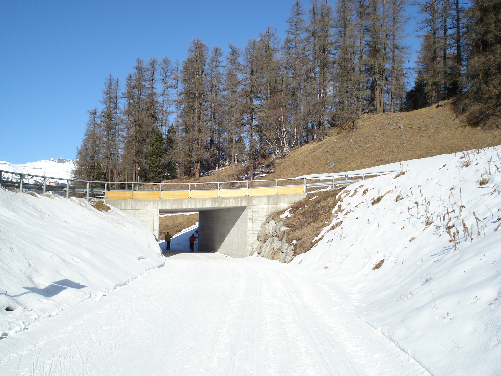 Picture Swiss Pontresina 2007-01 42 - Perspective Pontresina