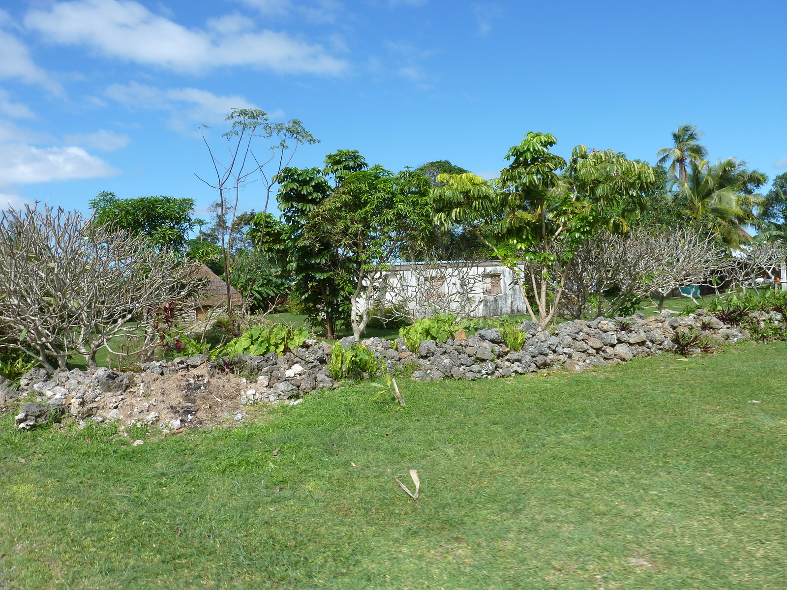 Picture New Caledonia Lifou 2010-05 13 - Visit Lifou