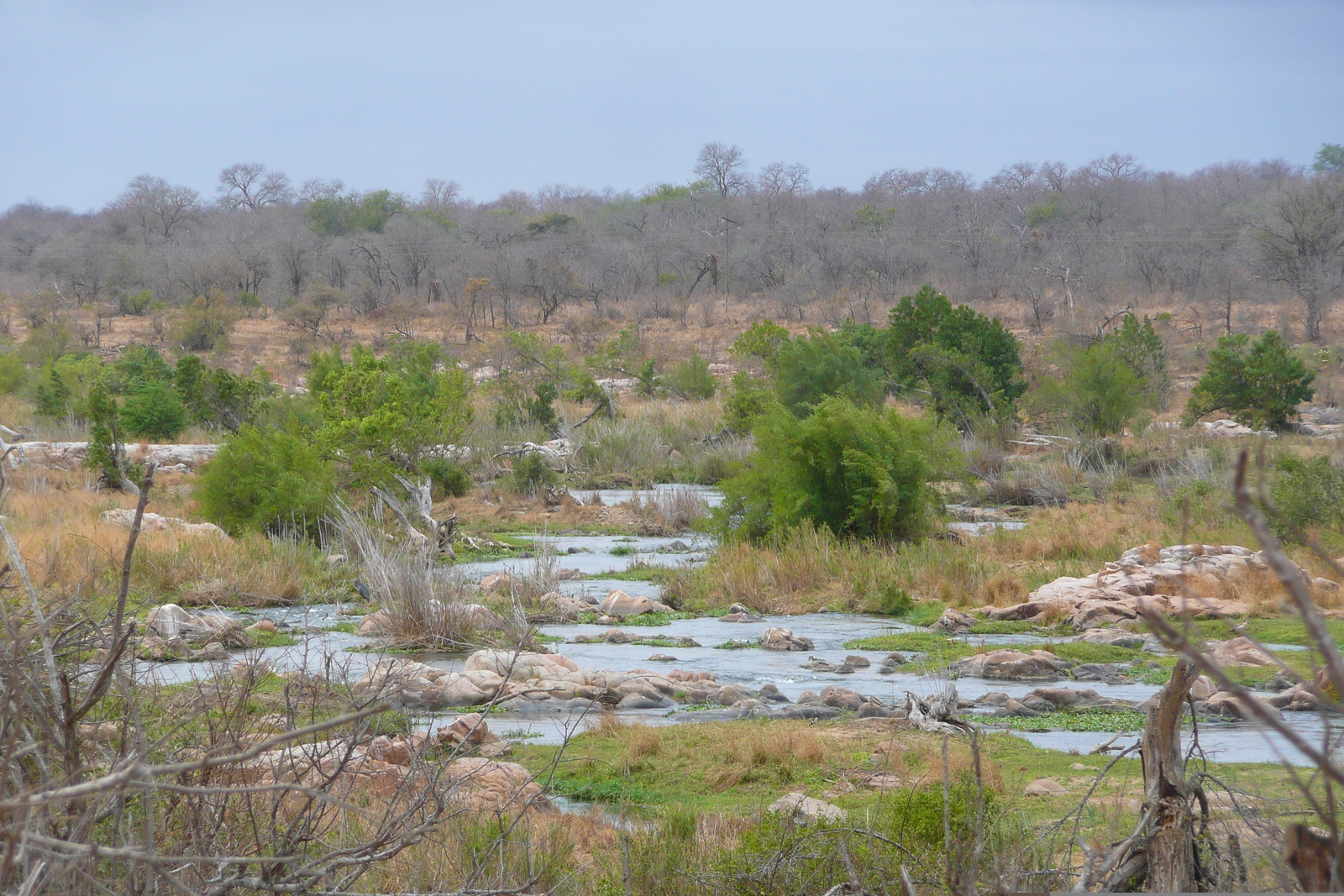 Picture South Africa Kruger National Park Crocodile River 2008-09 43 - Perspective Crocodile River