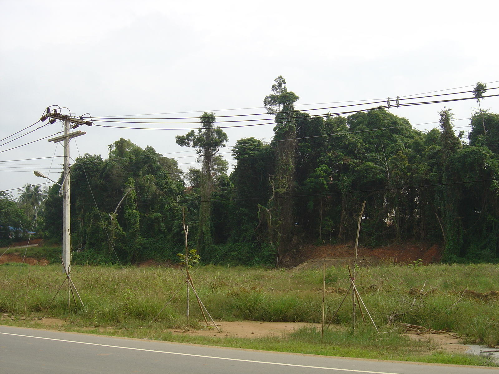 Picture Thailand Khao Lak Bang Sak Beach 2005-12 78 - Car Rental Bang Sak Beach