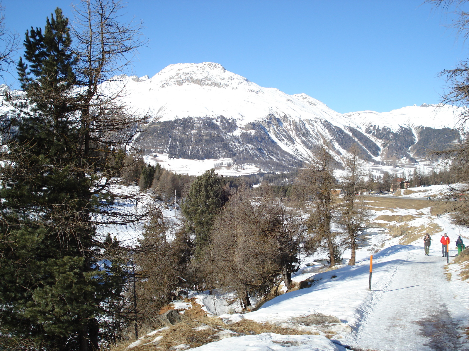 Picture Swiss Pontresina 2007-01 16 - Perspective Pontresina