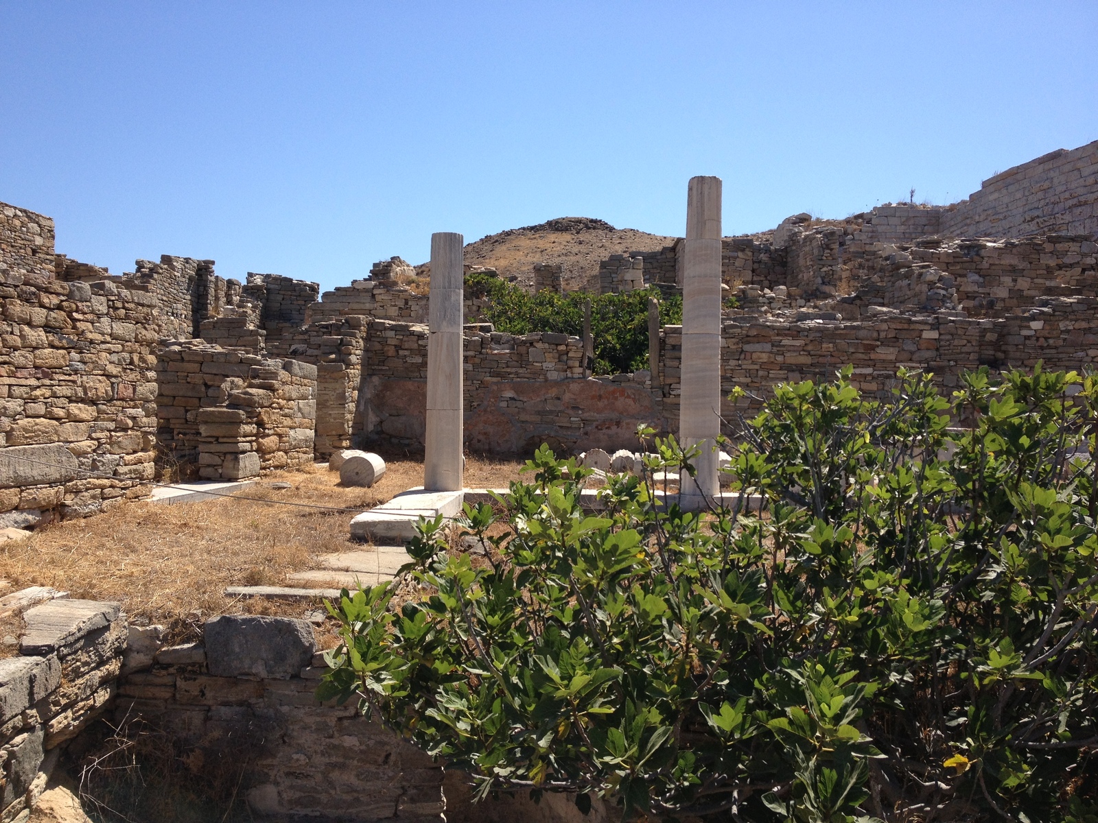 Picture Greece Delos 2014-07 40 - Tourist Delos