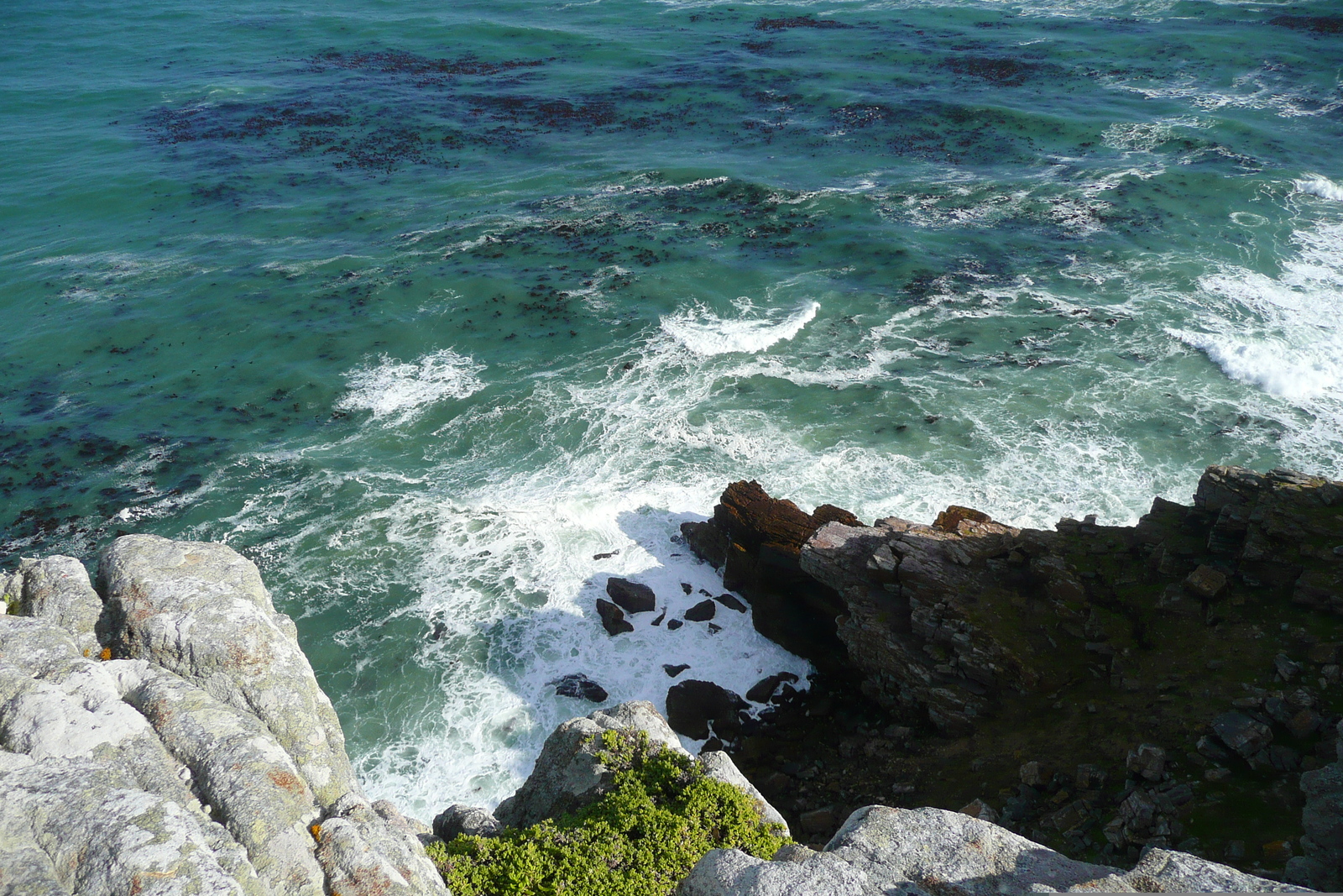 Picture South Africa Cape of Good Hope Cape Point 2008-09 74 - Shopping Mall Cape Point