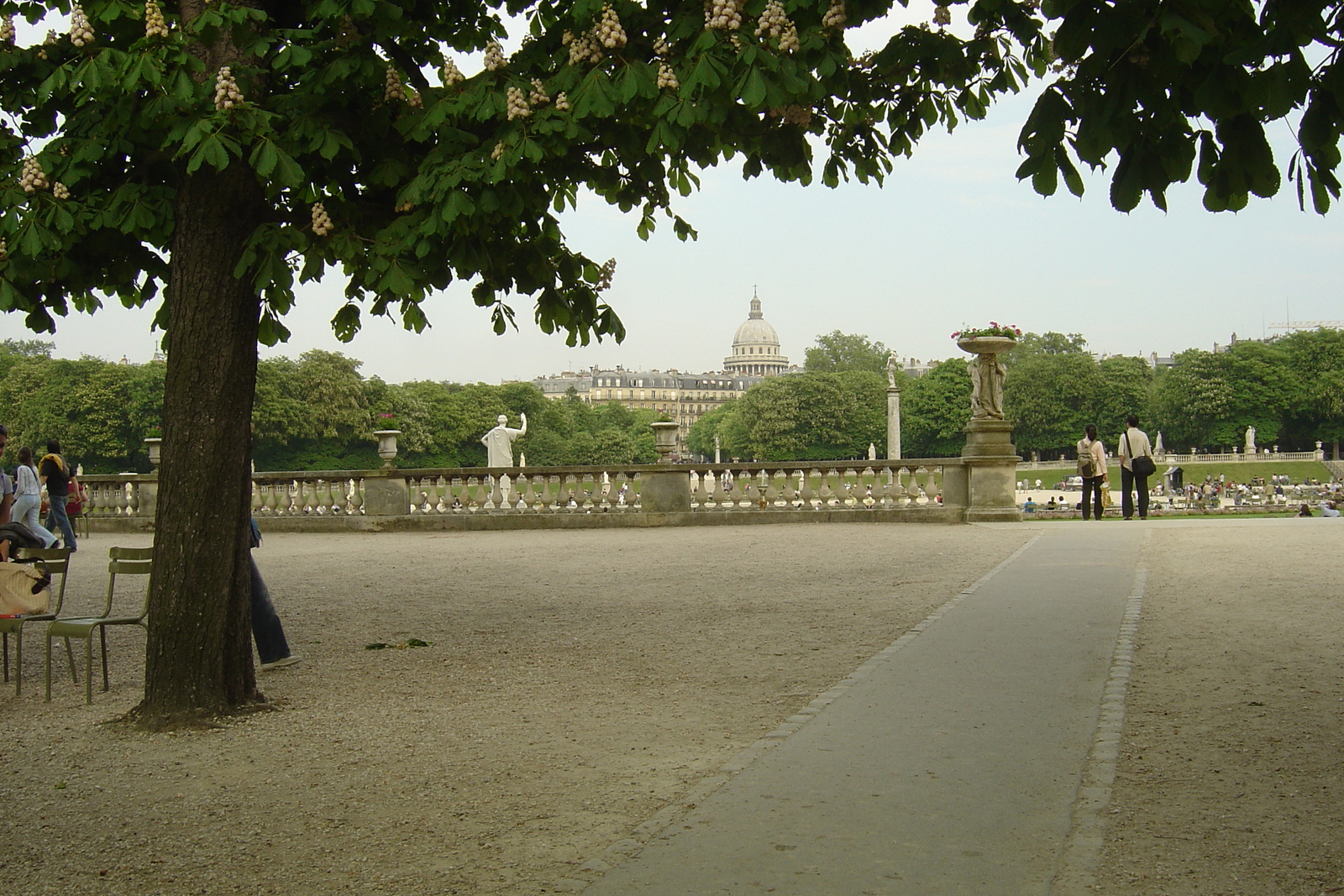 Picture France Paris Luxembourg Garden 2007-04 117 - Trip Luxembourg Garden