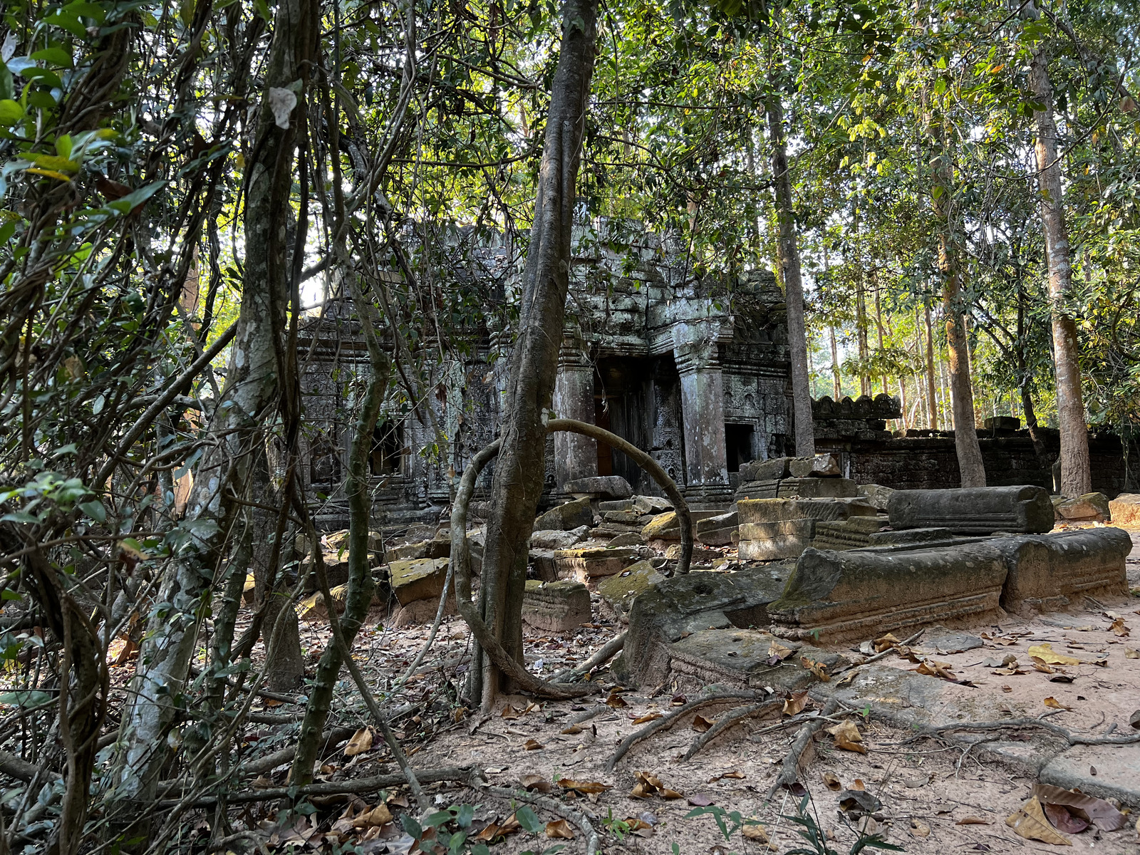 Picture Cambodia Siem Reap Ta Som 2023-01 22 - Discover Ta Som