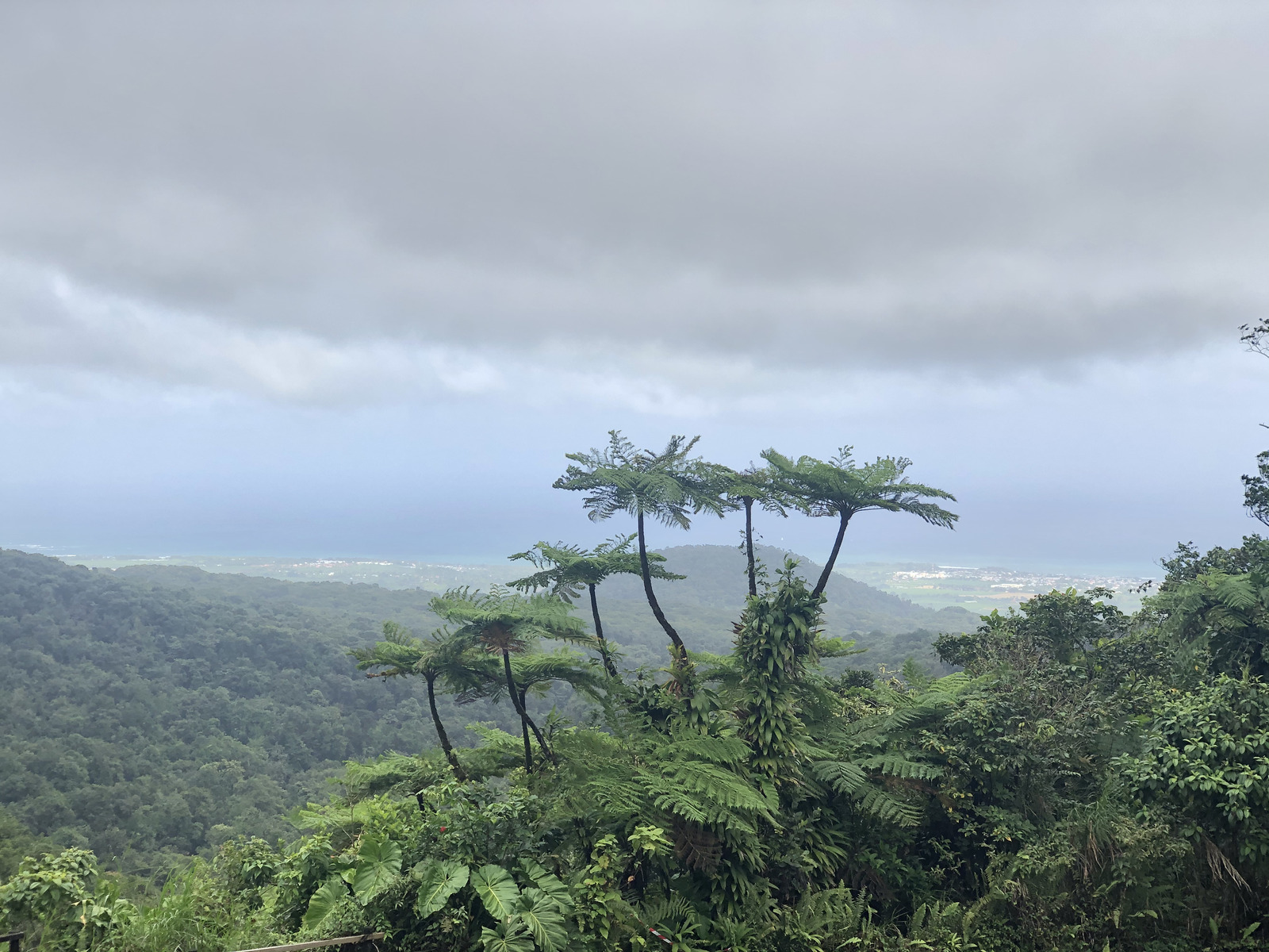 Picture Guadeloupe Carbet Falls 2021-02 12 - Photographer Carbet Falls