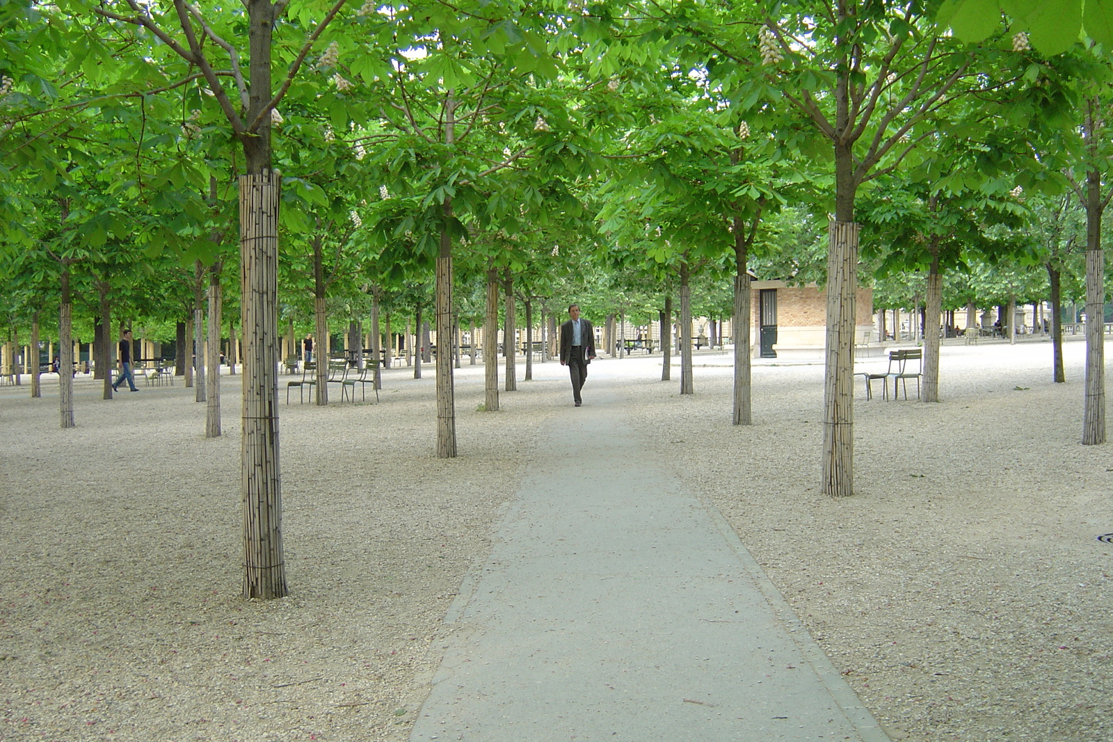 Picture France Paris Luxembourg Garden 2007-04 101 - Travels Luxembourg Garden