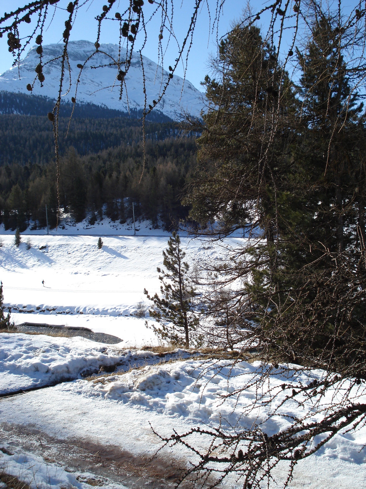 Picture Swiss Pontresina 2007-01 15 - Photographers Pontresina