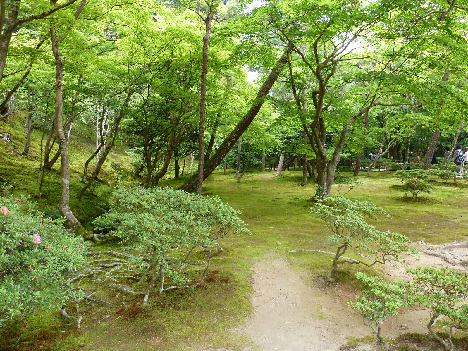 Picture Japan Kyoto Ginkakuji Temple(Silver Pavilion) 2010-06 27 - Sightseeing Ginkakuji Temple(Silver Pavilion)