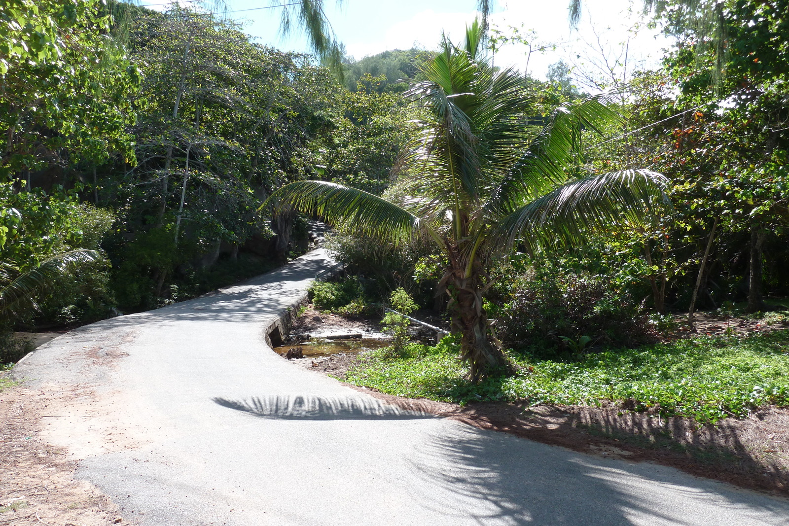 Picture Seychelles Praslin 2011-10 132 - Views Praslin