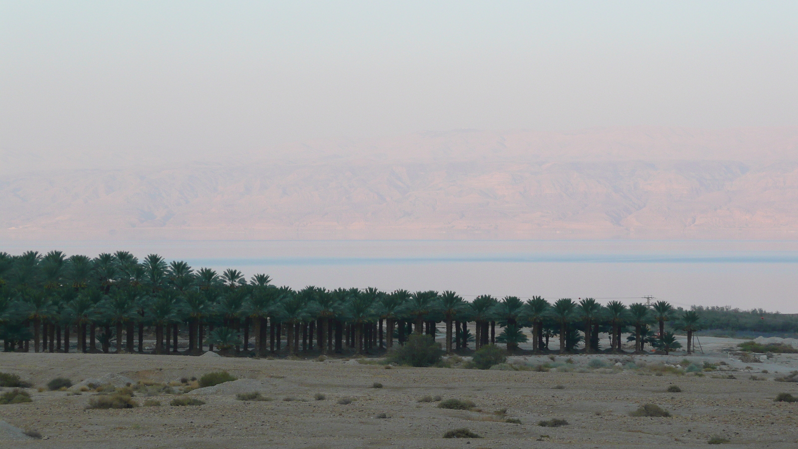 Picture Israel Dead Sea 2007-06 91 - Sight Dead Sea