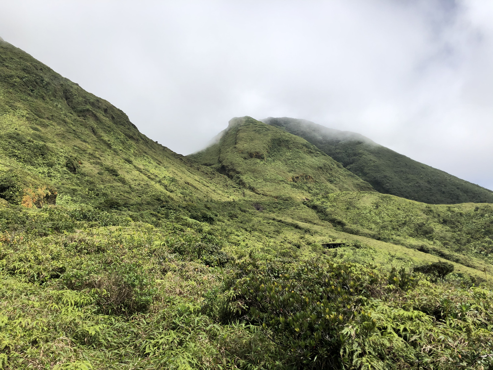 Picture Guadeloupe La Grande Soufriere 2021-02 64 - Photographers La Grande Soufriere