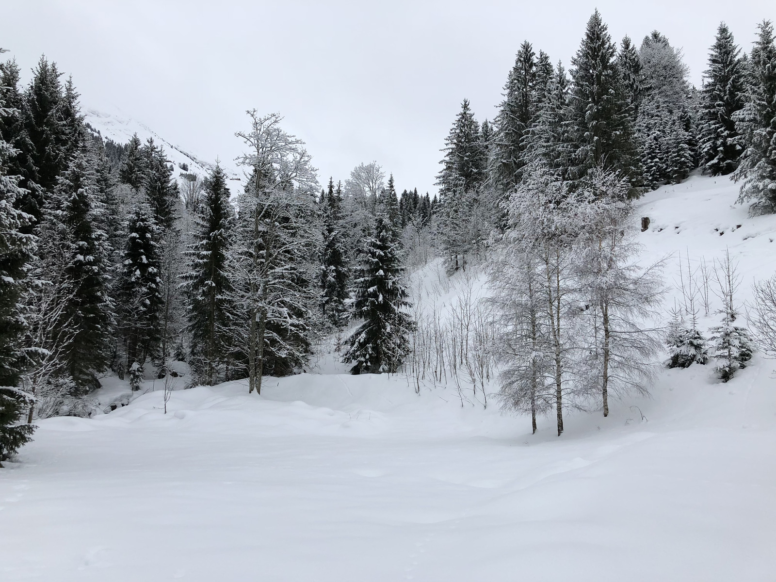 Picture France La Clusaz 2017-12 296 - Photos La Clusaz