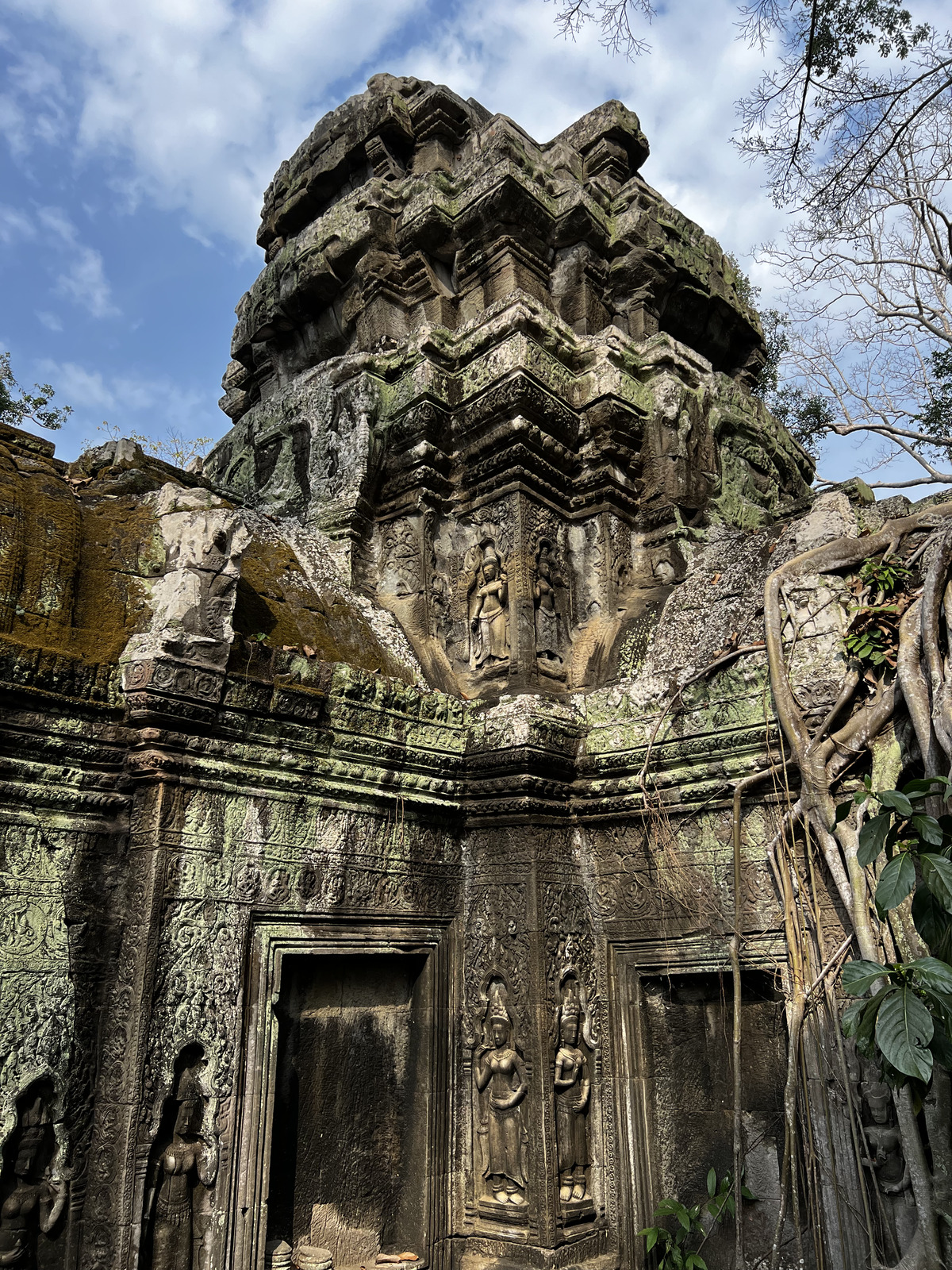 Picture Cambodia Siem Reap Ta Prohm 2023-01 103 - Photos Ta Prohm