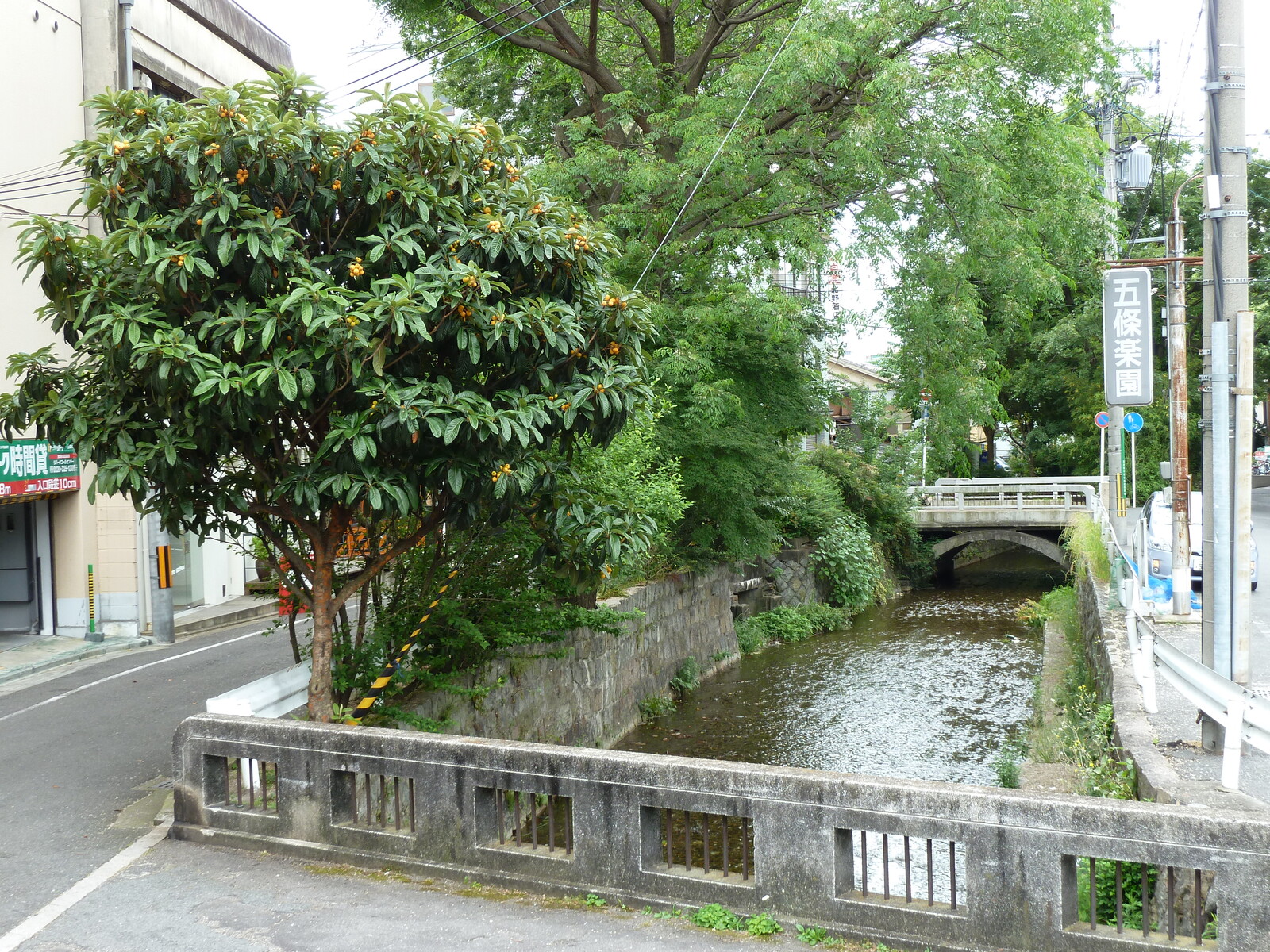 Picture Japan Kyoto 2010-06 82 - Tourist Kyoto