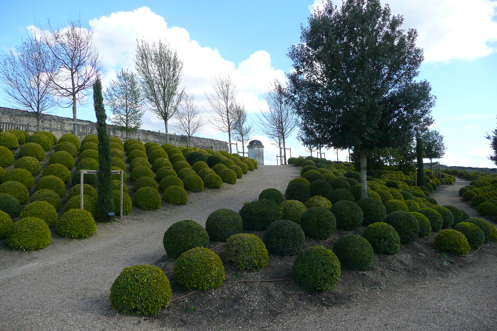 Picture France Amboise Amboise Castle 2008-04 21 - Trip Amboise Castle