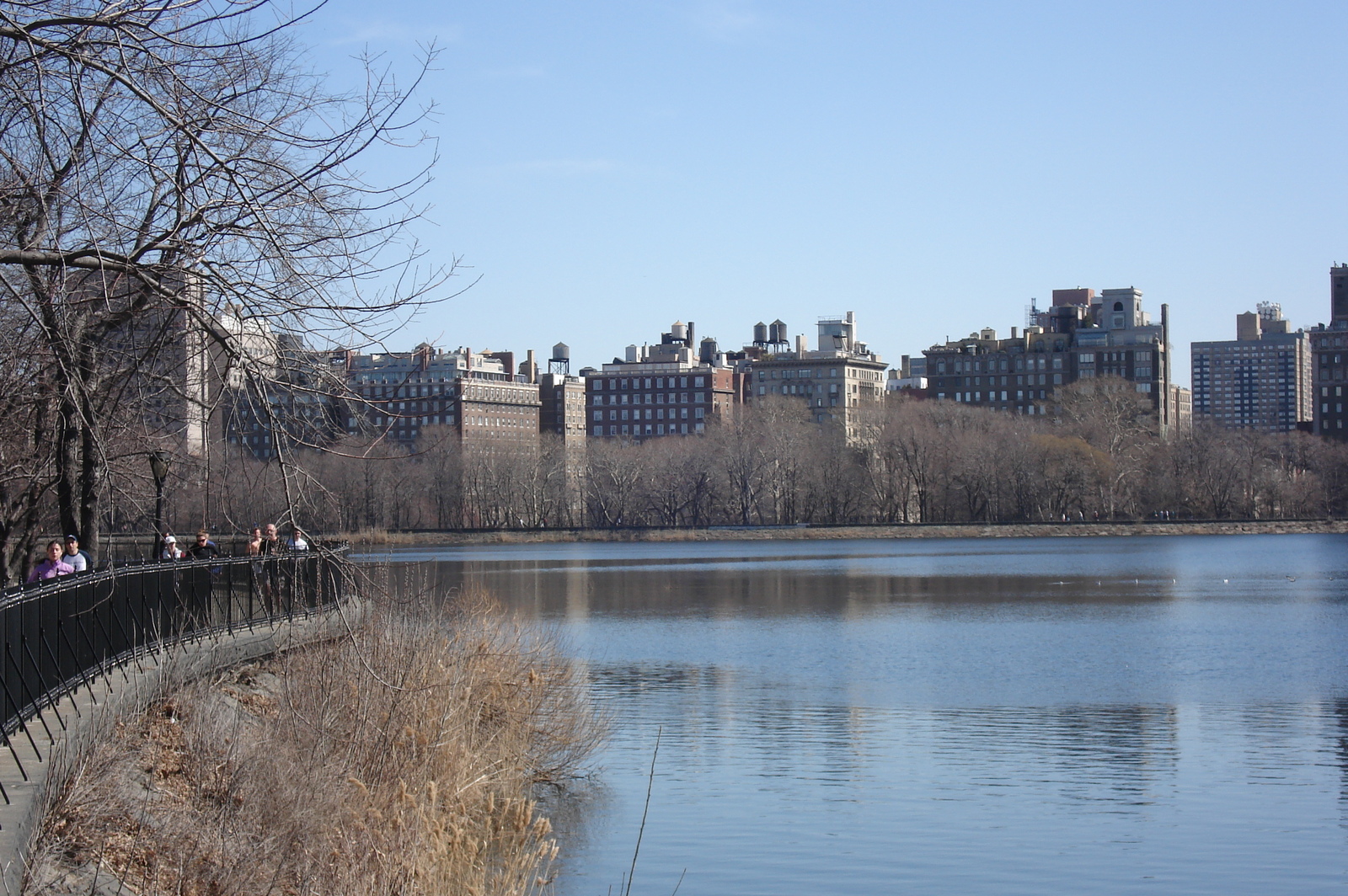 Picture United States New York Central Park 2006-03 34 - Views Central Park