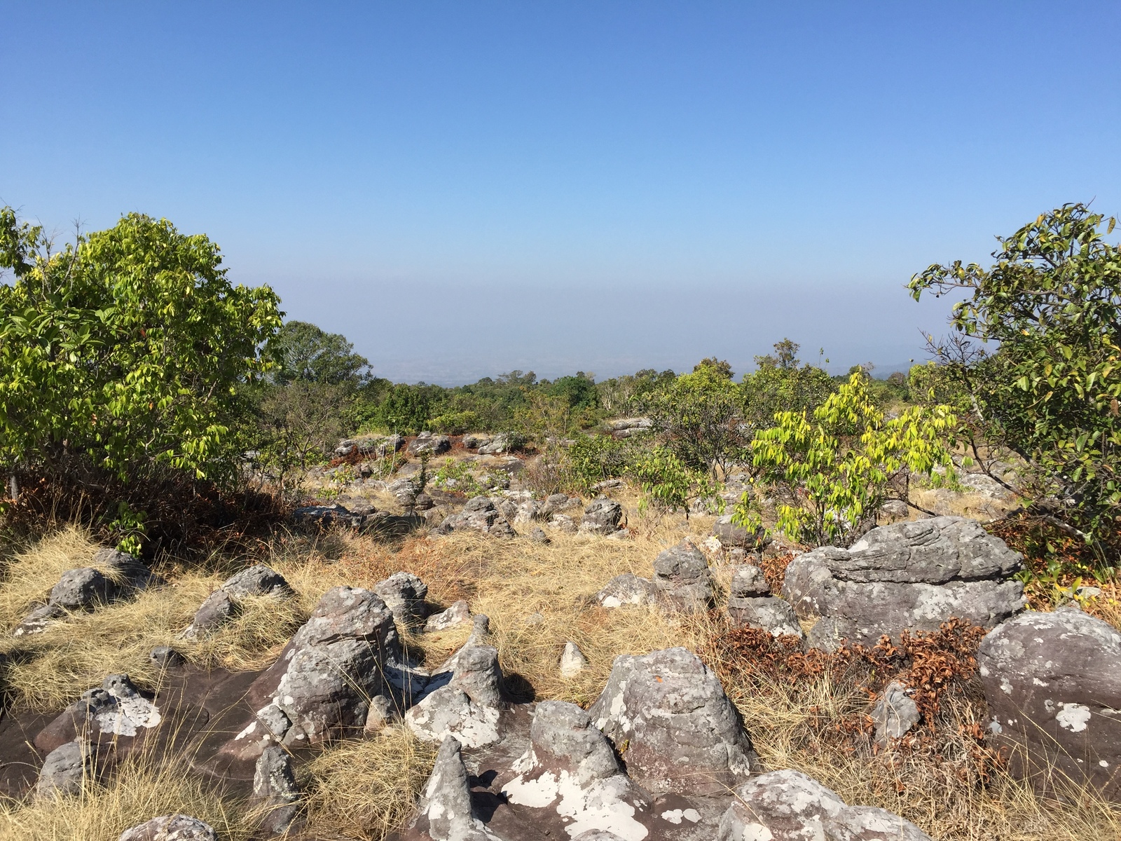 Picture Thailand Phu Hin Rong Kla National Park 2014-12 208 - Perspective Phu Hin Rong Kla National Park