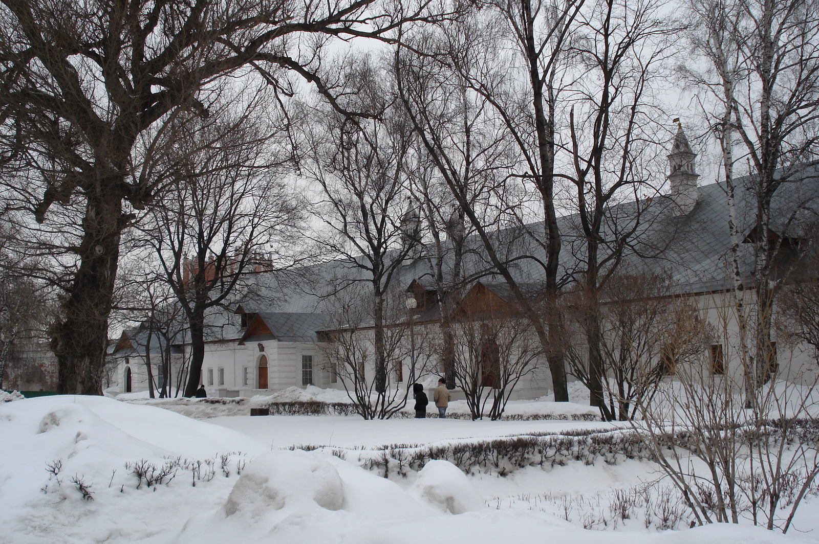 Picture Russia Moscow New Maiden convent and cemetery 2006-03 4 - Photo New Maiden convent and cemetery