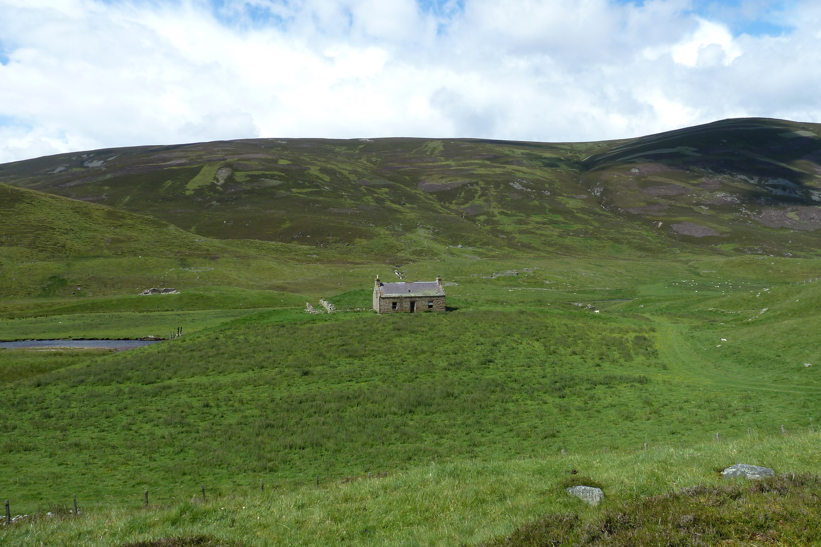 Picture United Kingdom Cairngorms National Park 2011-07 40 - Car Cairngorms National Park