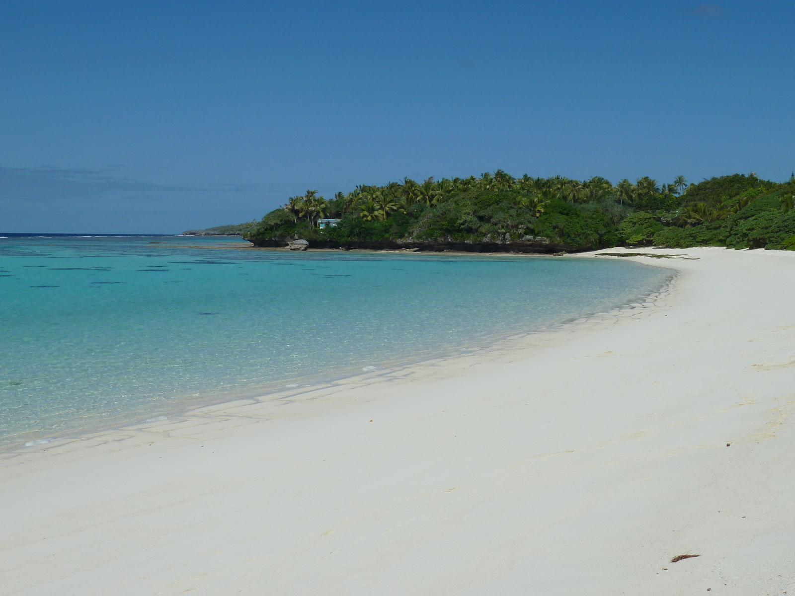 Picture New Caledonia Lifou Mu 2010-05 42 - Travels Mu