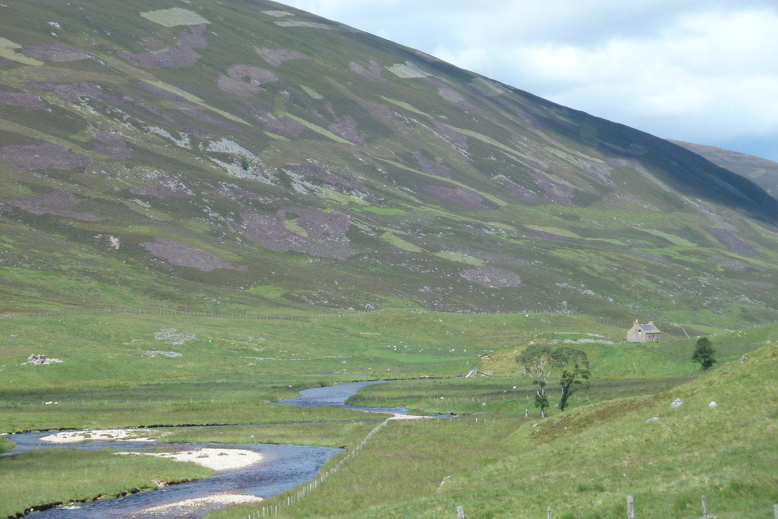 Picture United Kingdom Cairngorms National Park 2011-07 78 - Store Cairngorms National Park