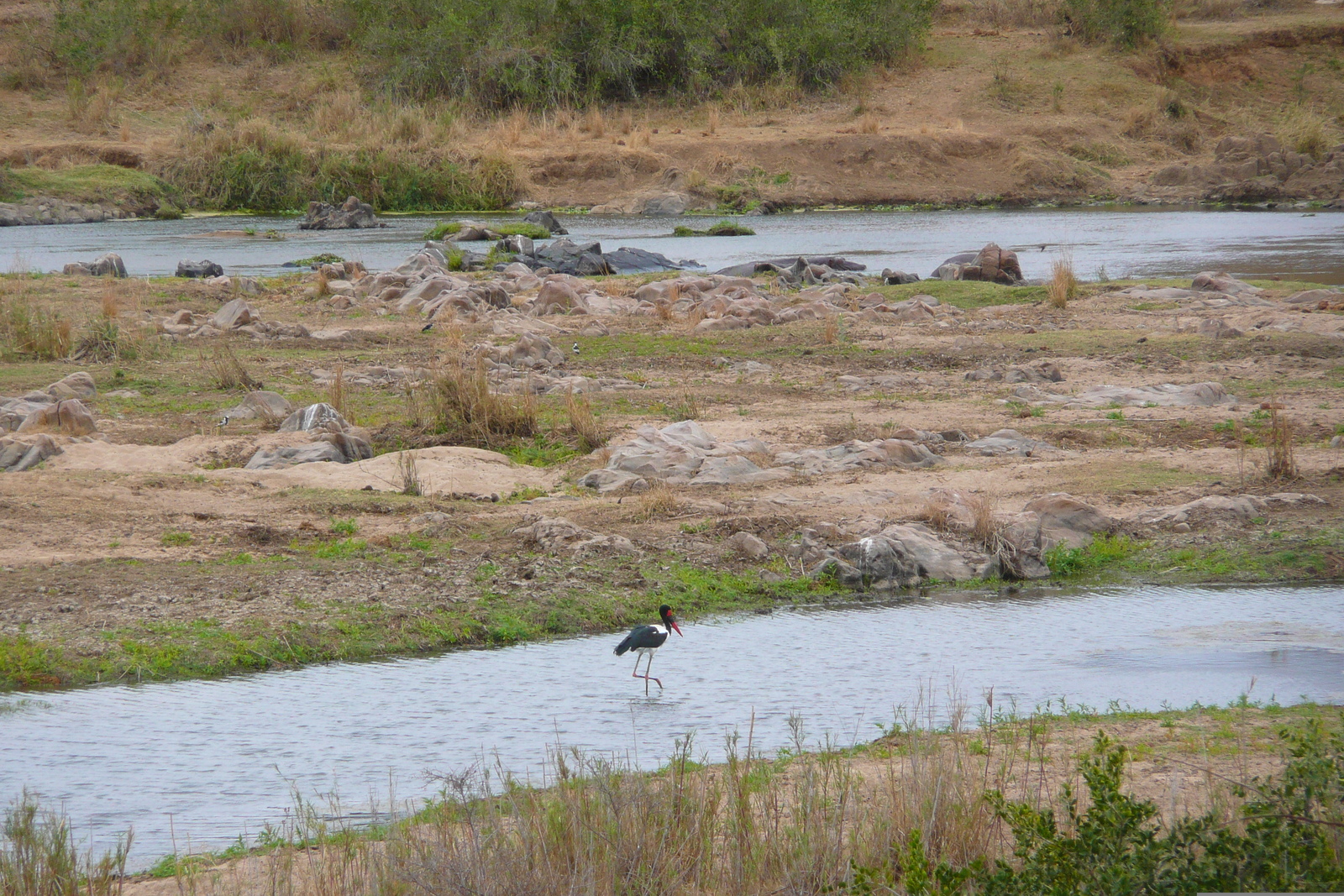 Picture South Africa Kruger National Park Crocodile River 2008-09 1 - Sight Crocodile River