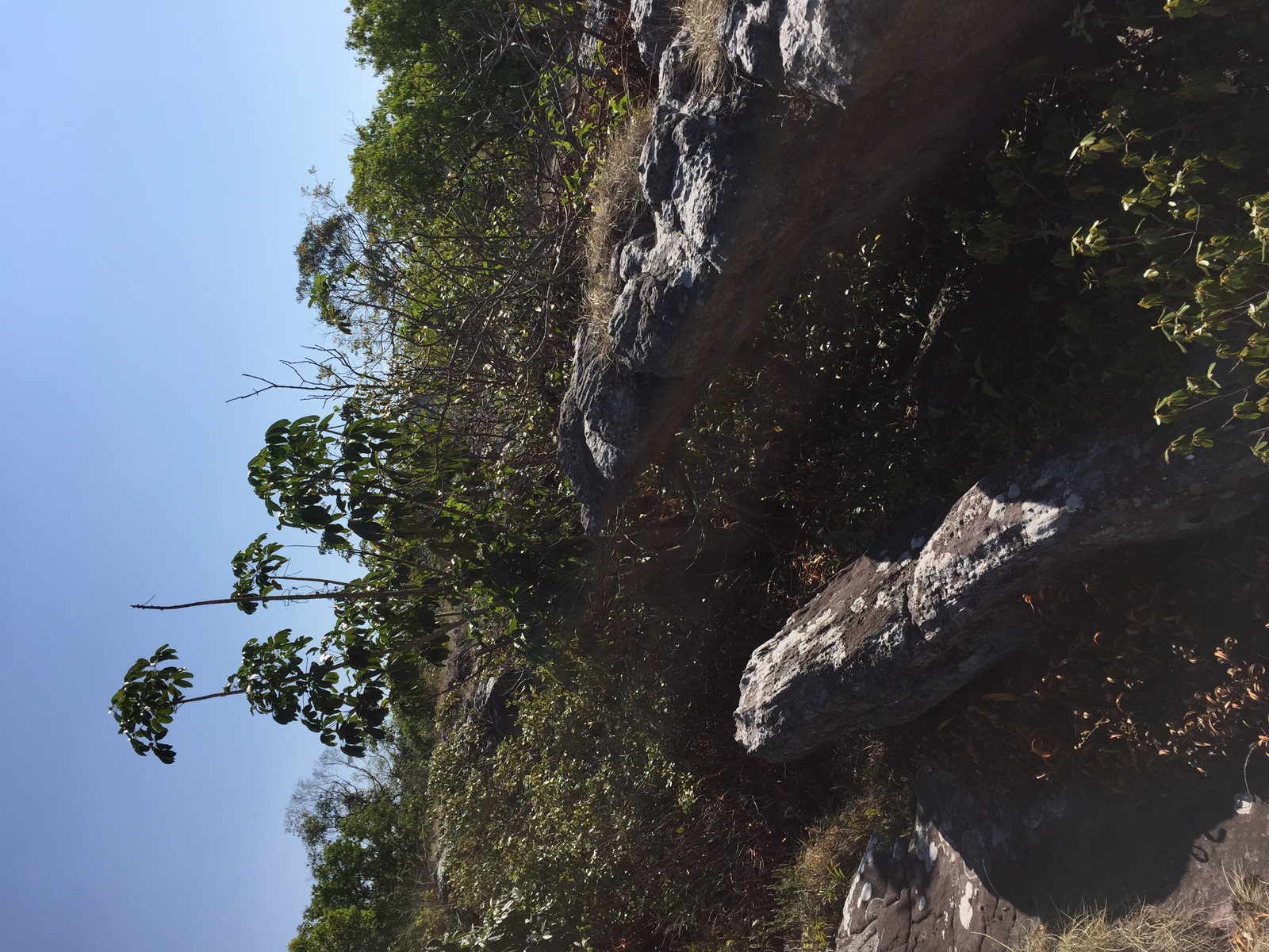 Picture Thailand Phu Hin Rong Kla National Park 2014-12 231 - Flight Phu Hin Rong Kla National Park