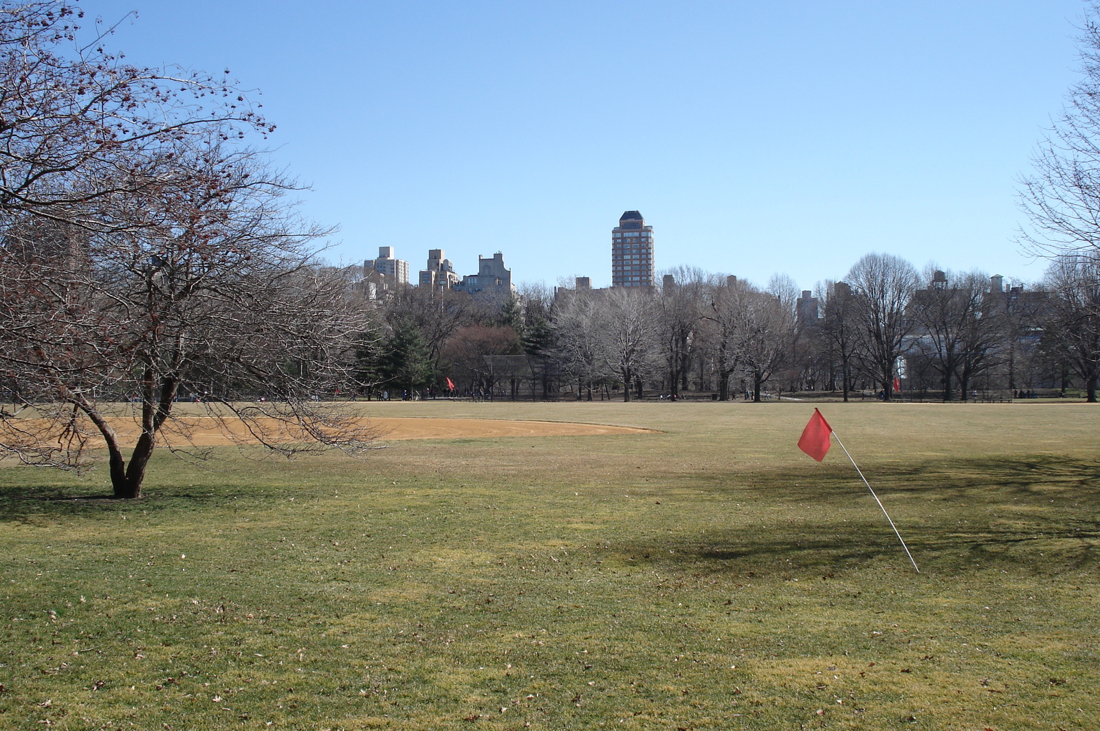 Picture United States New York Central Park 2006-03 31 - Flight Central Park