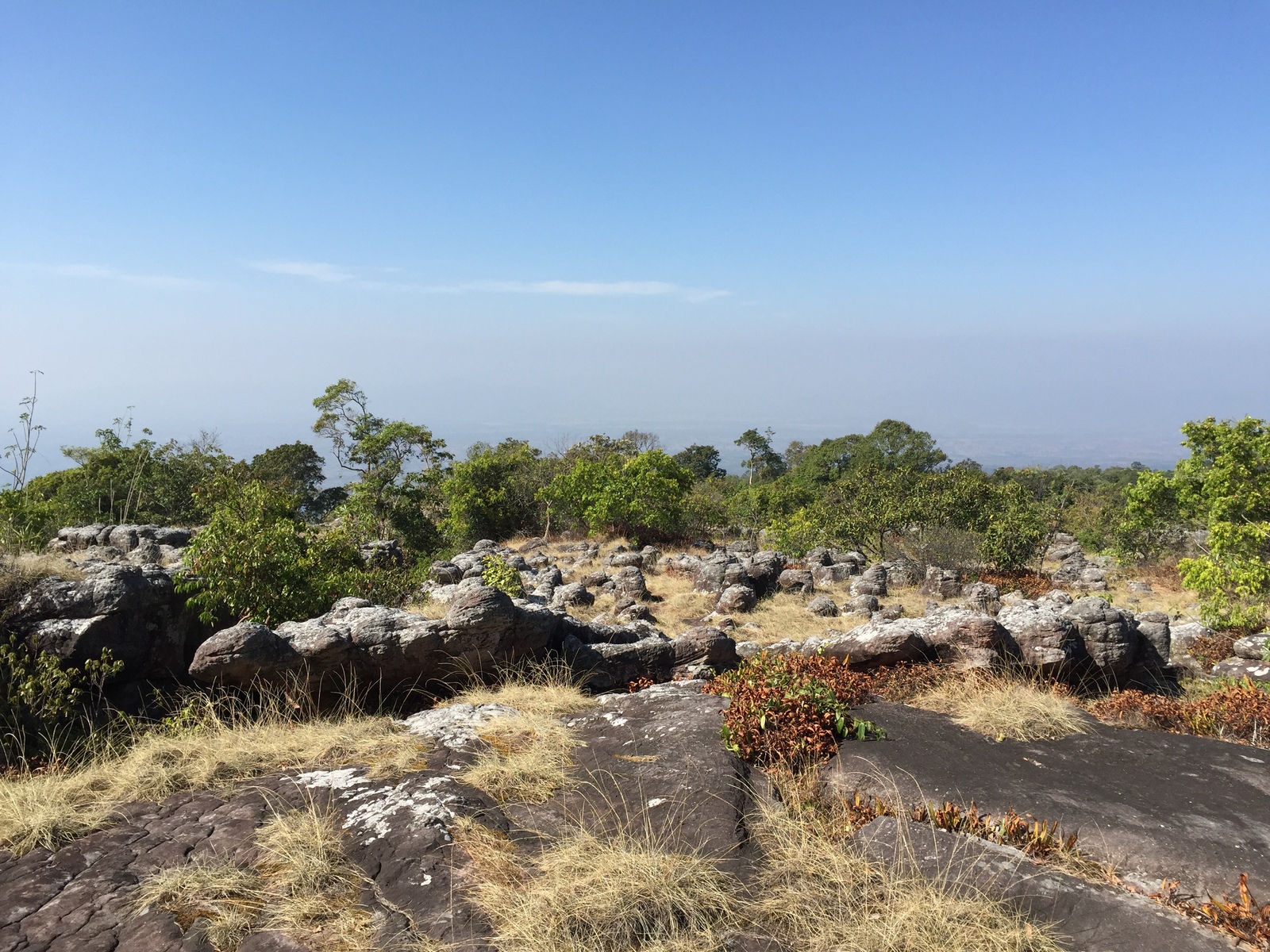 Picture Thailand Phu Hin Rong Kla National Park 2014-12 263 - Car Phu Hin Rong Kla National Park