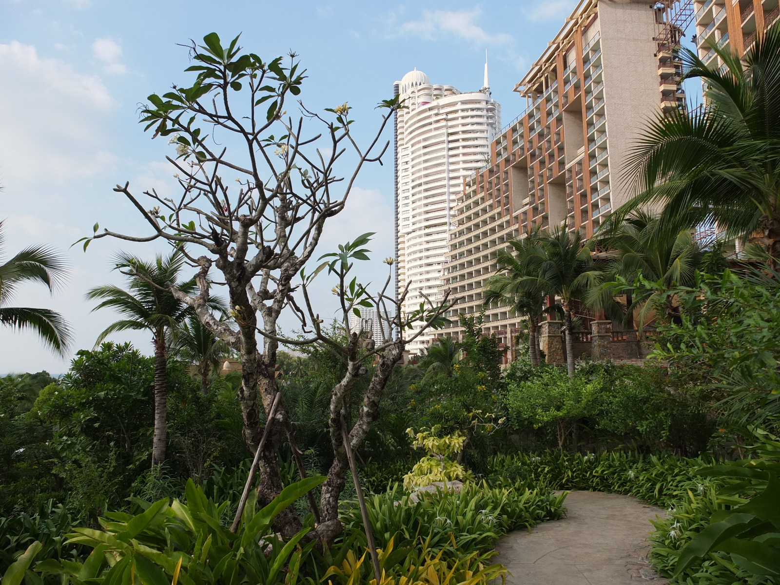 Picture Thailand Pattaya Centara Hotel 2011-12 52 - Flights Centara Hotel