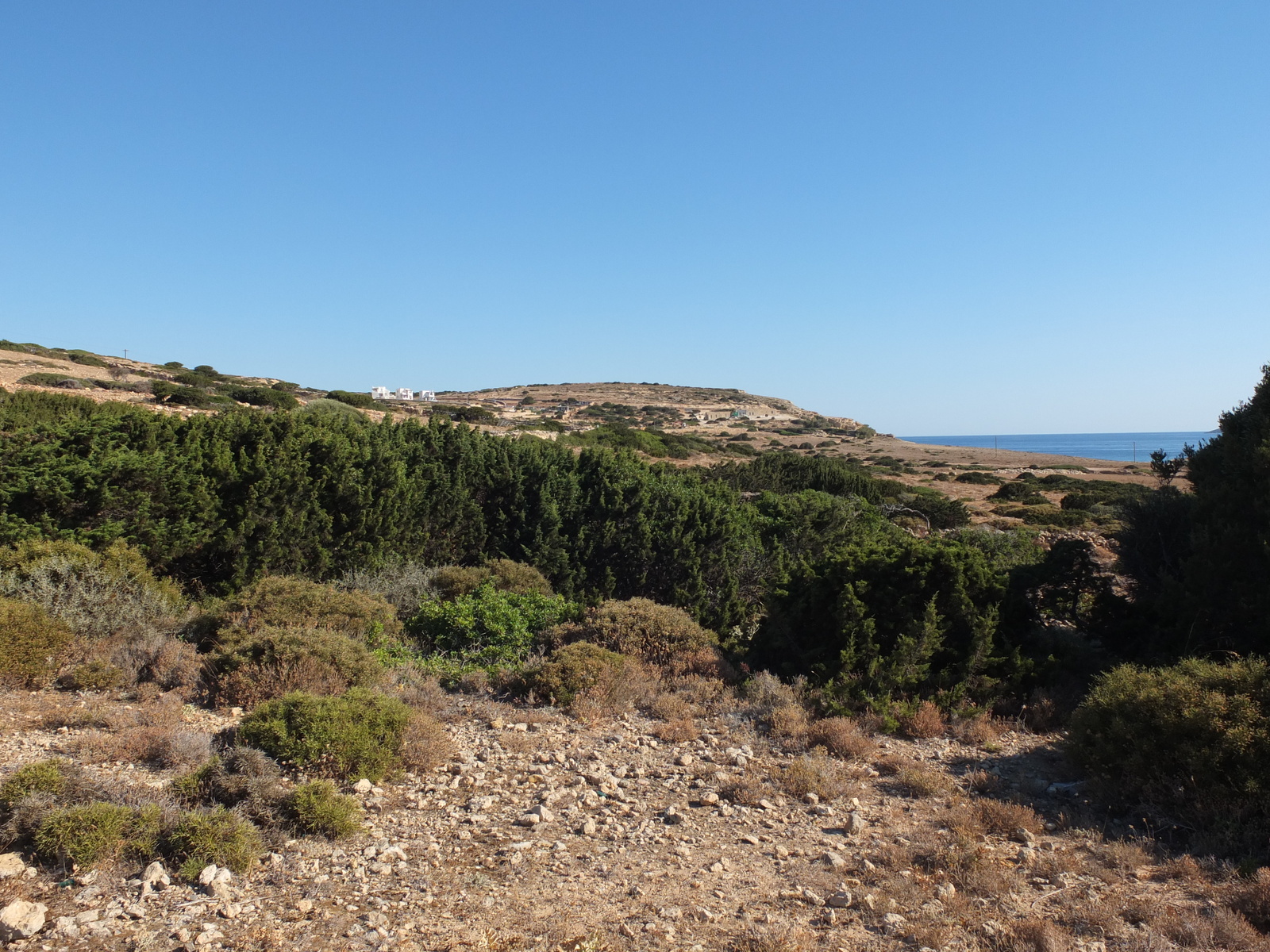 Picture Greece Koufonissia 2014-07 427 - View Koufonissia