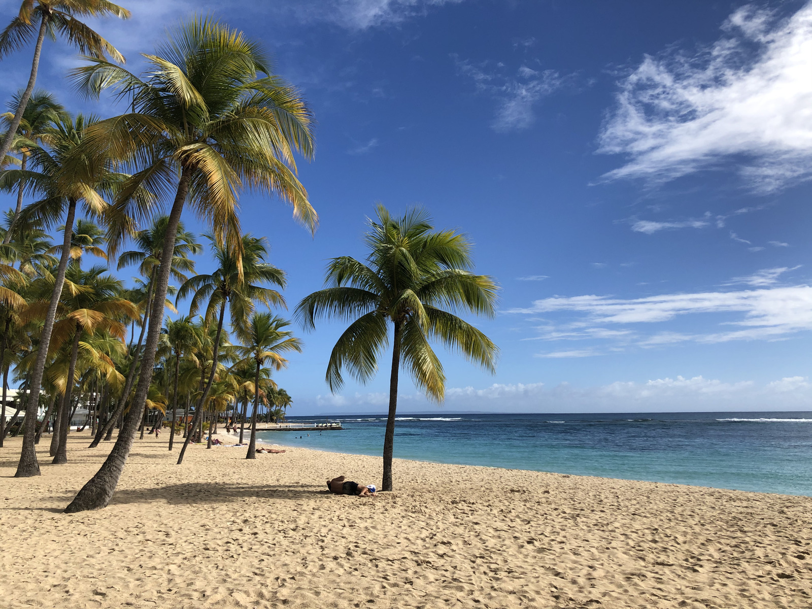 Picture Guadeloupe La Caravelle Beach 2021-02 139 - Picture La Caravelle Beach