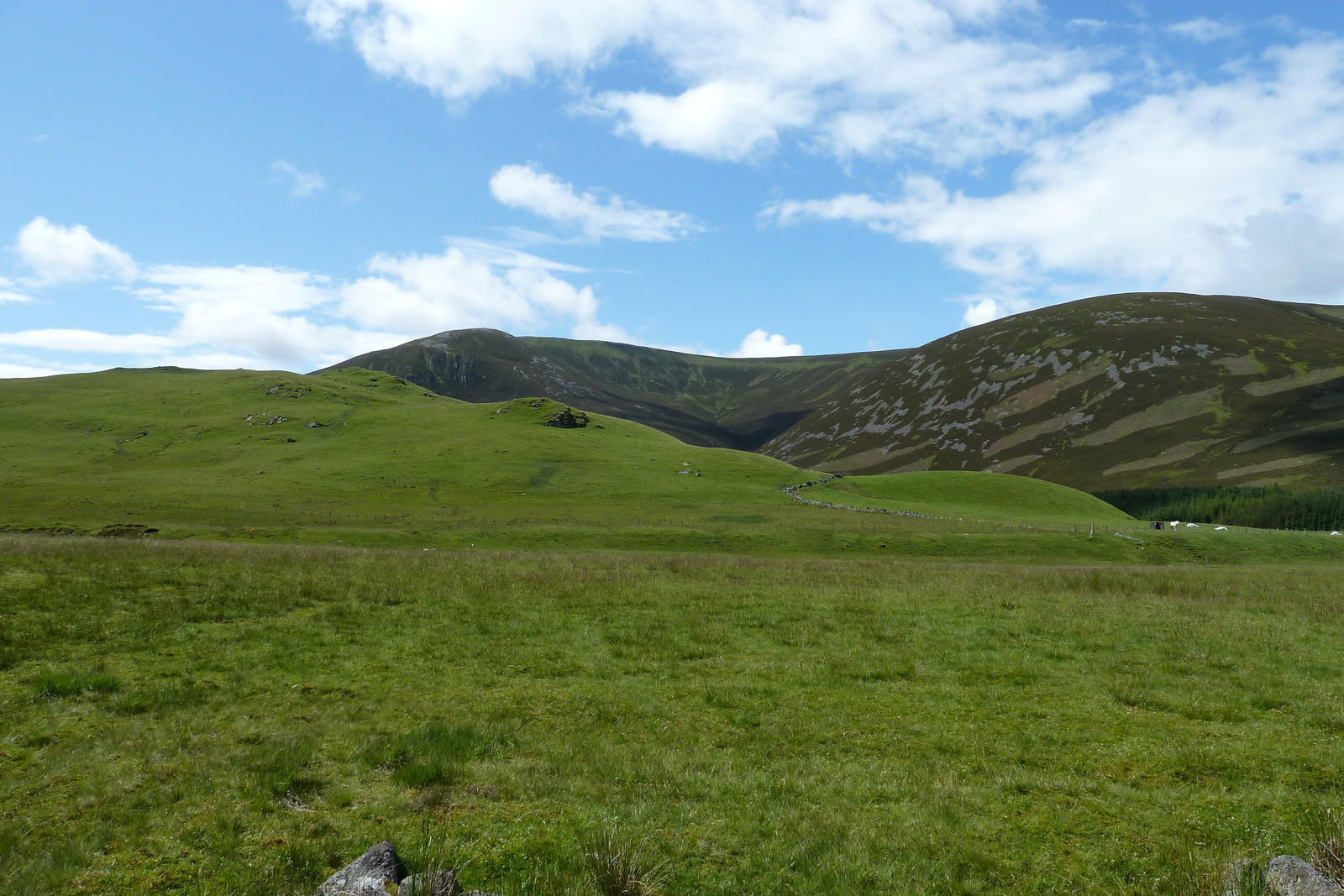 Picture United Kingdom Cairngorms National Park 2011-07 39 - Tourist Cairngorms National Park