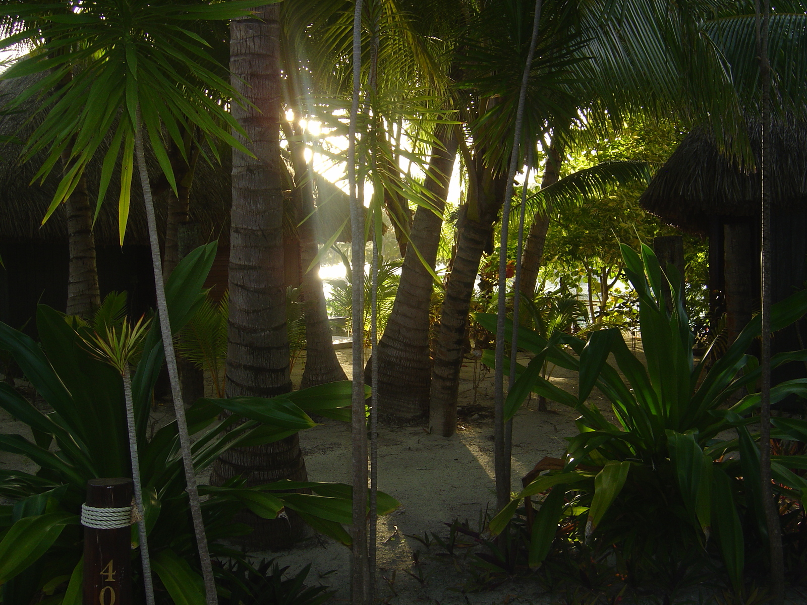 Picture Polynesia Meridien Bora Bora Hotel 2006-04 21 - Flight Meridien Bora Bora Hotel