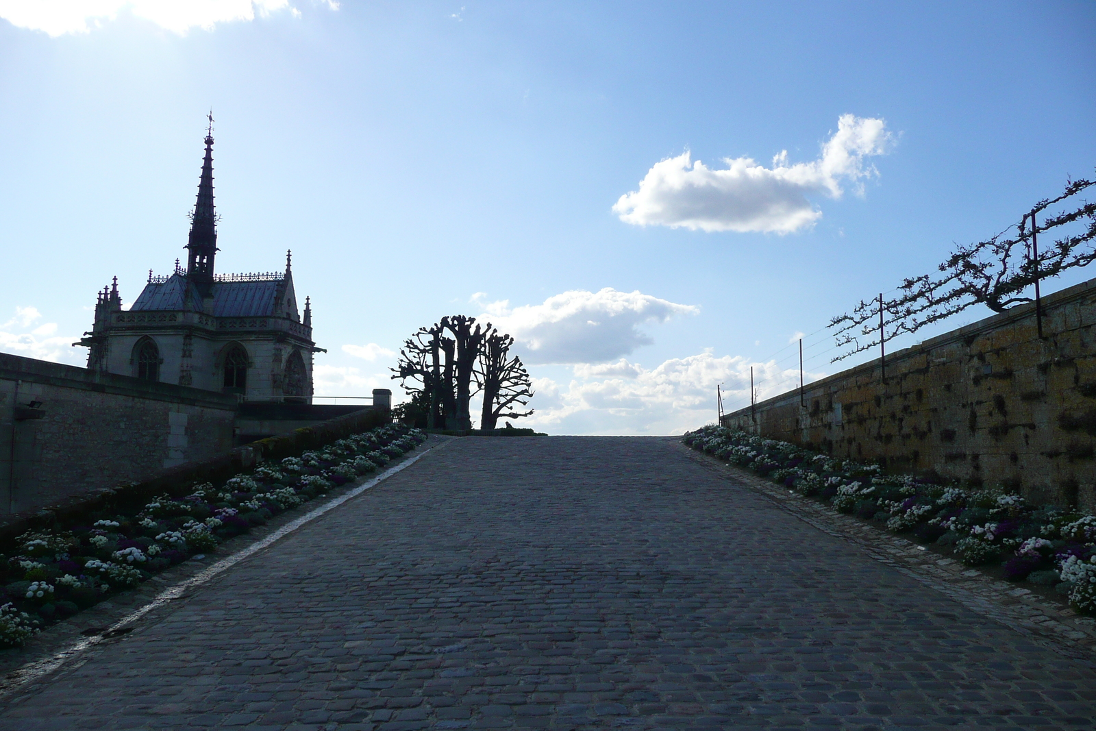 Picture France Amboise 2008-04 8 - Sightseeing Amboise