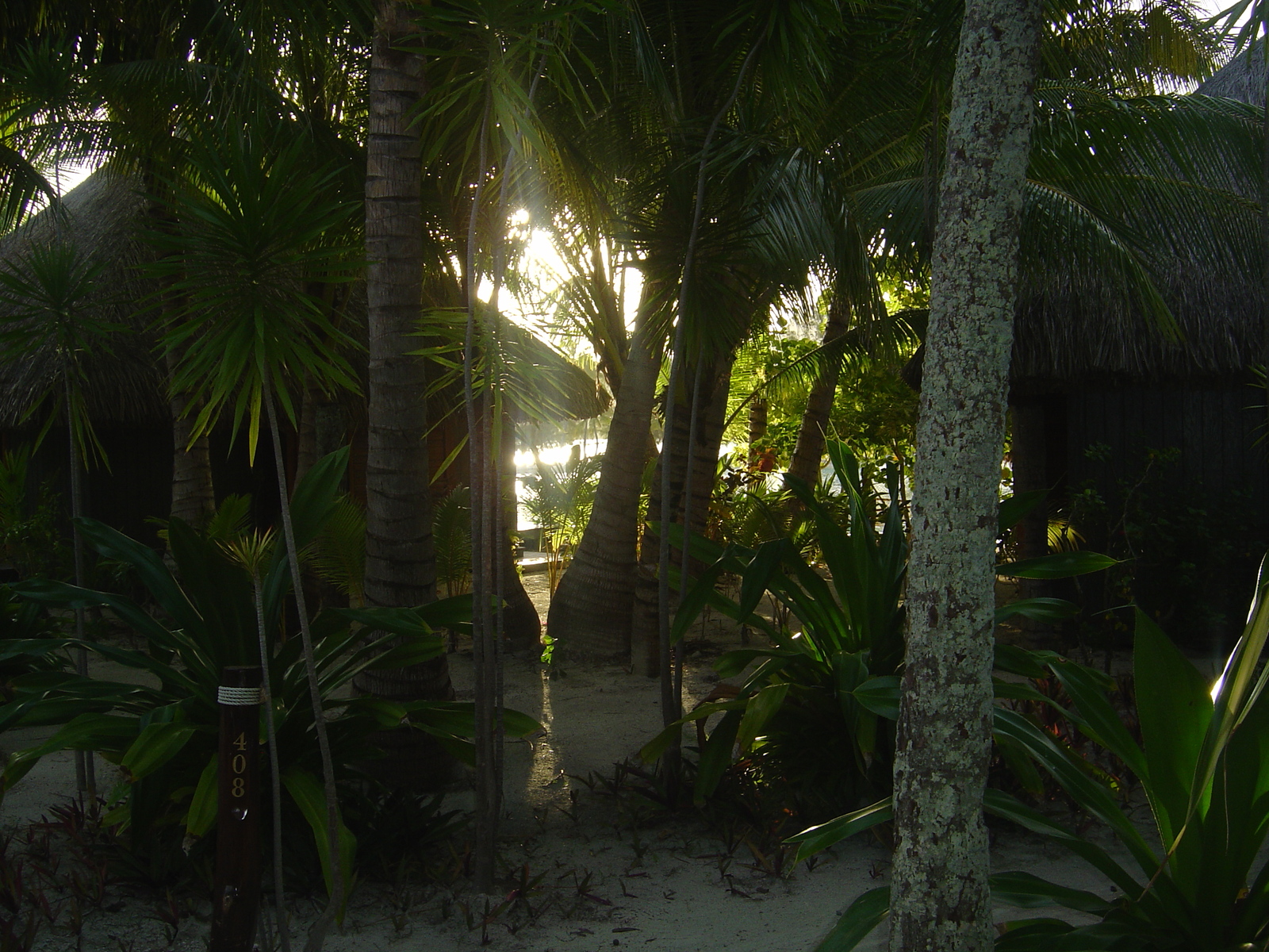 Picture Polynesia Meridien Bora Bora Hotel 2006-04 20 - Picture Meridien Bora Bora Hotel