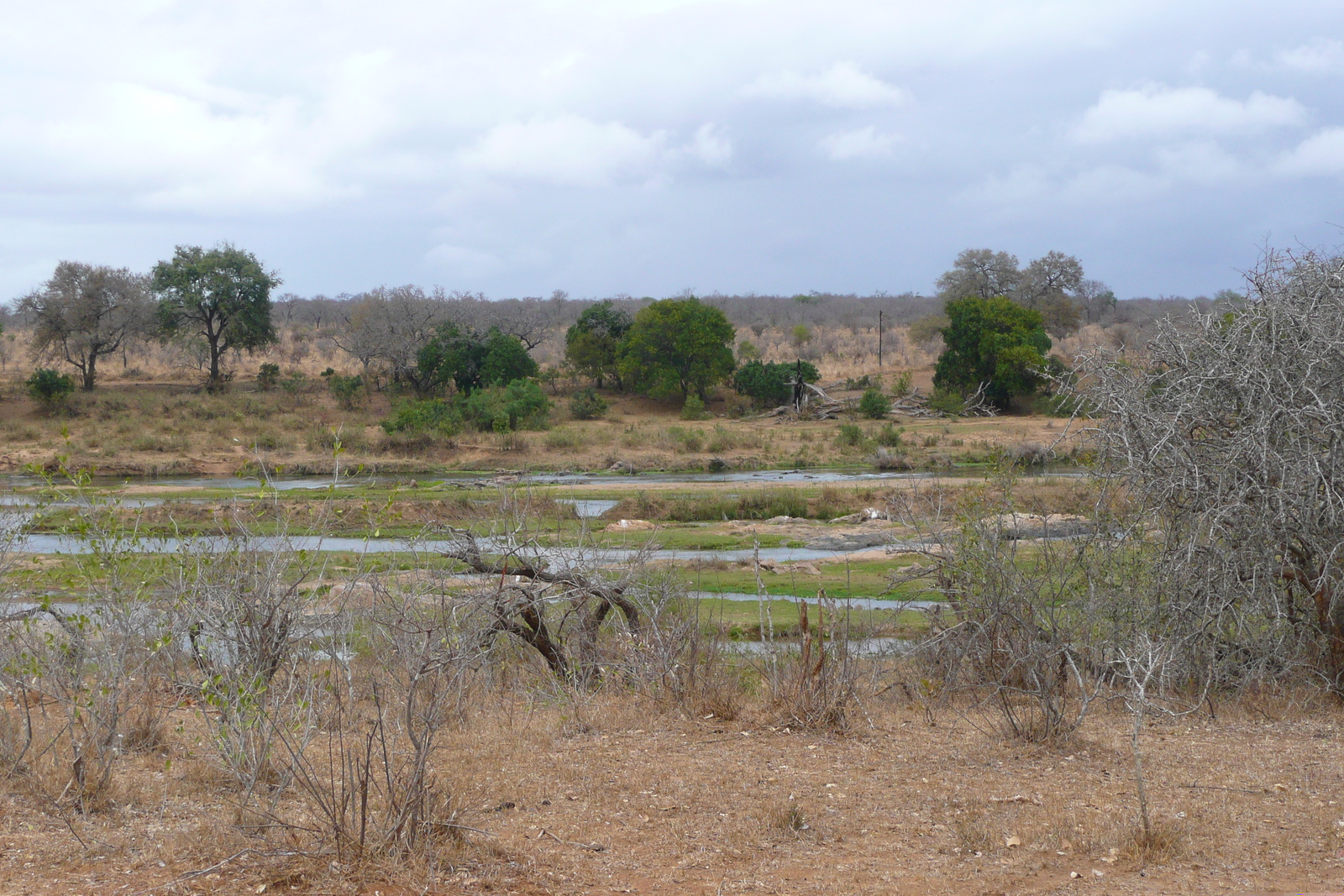 Picture South Africa Kruger National Park Crocodile River 2008-09 71 - Journey Crocodile River