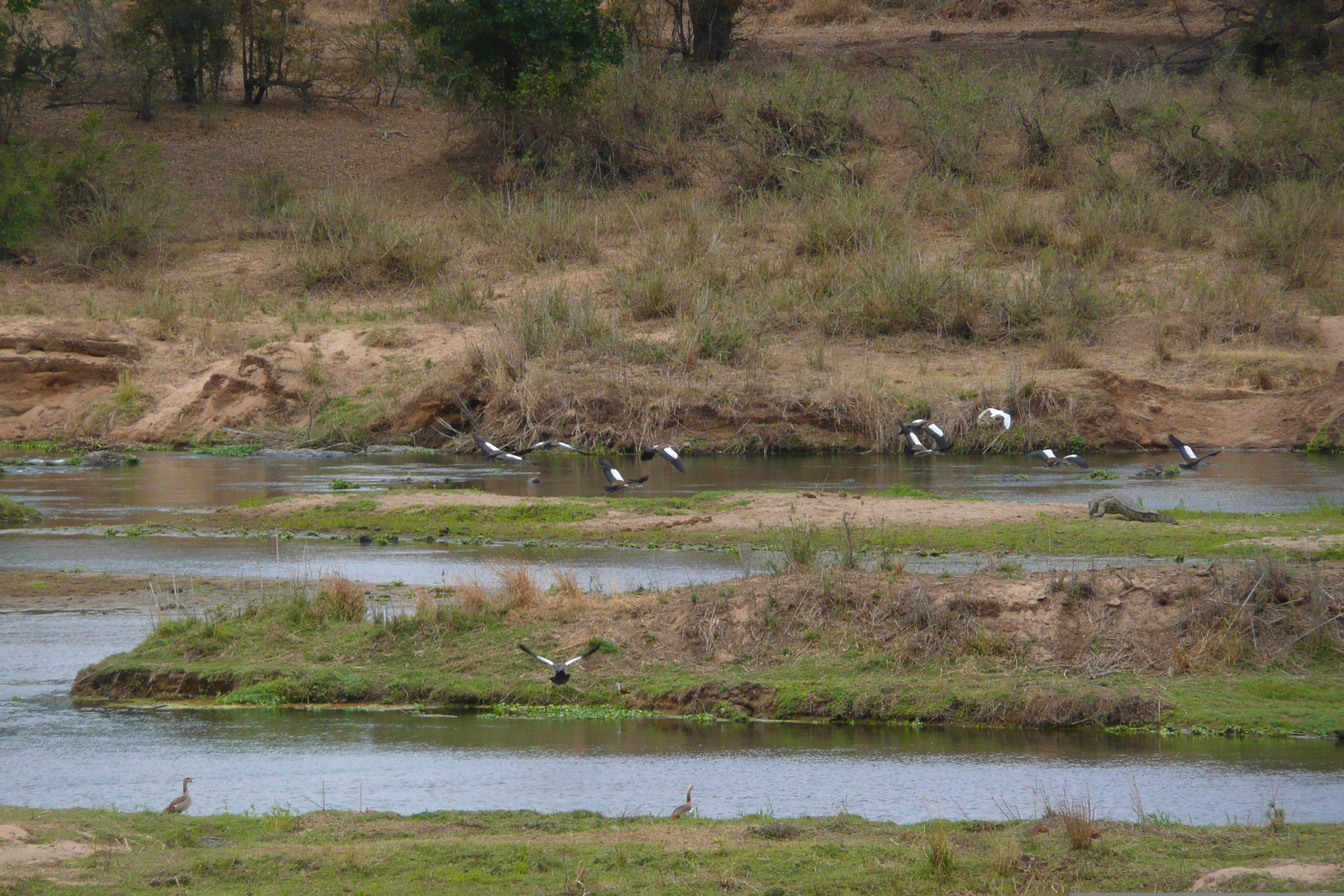 Picture South Africa Kruger National Park Crocodile River 2008-09 55 - Perspective Crocodile River