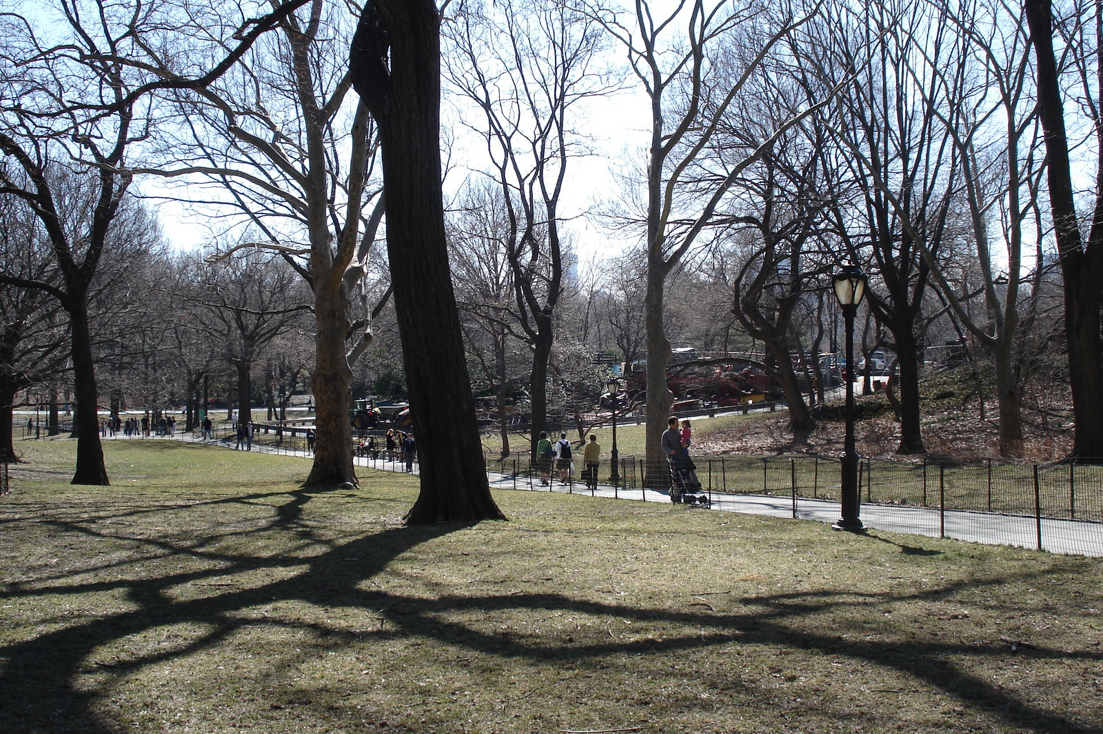 Picture United States New York Central Park 2006-03 22 - Car Central Park