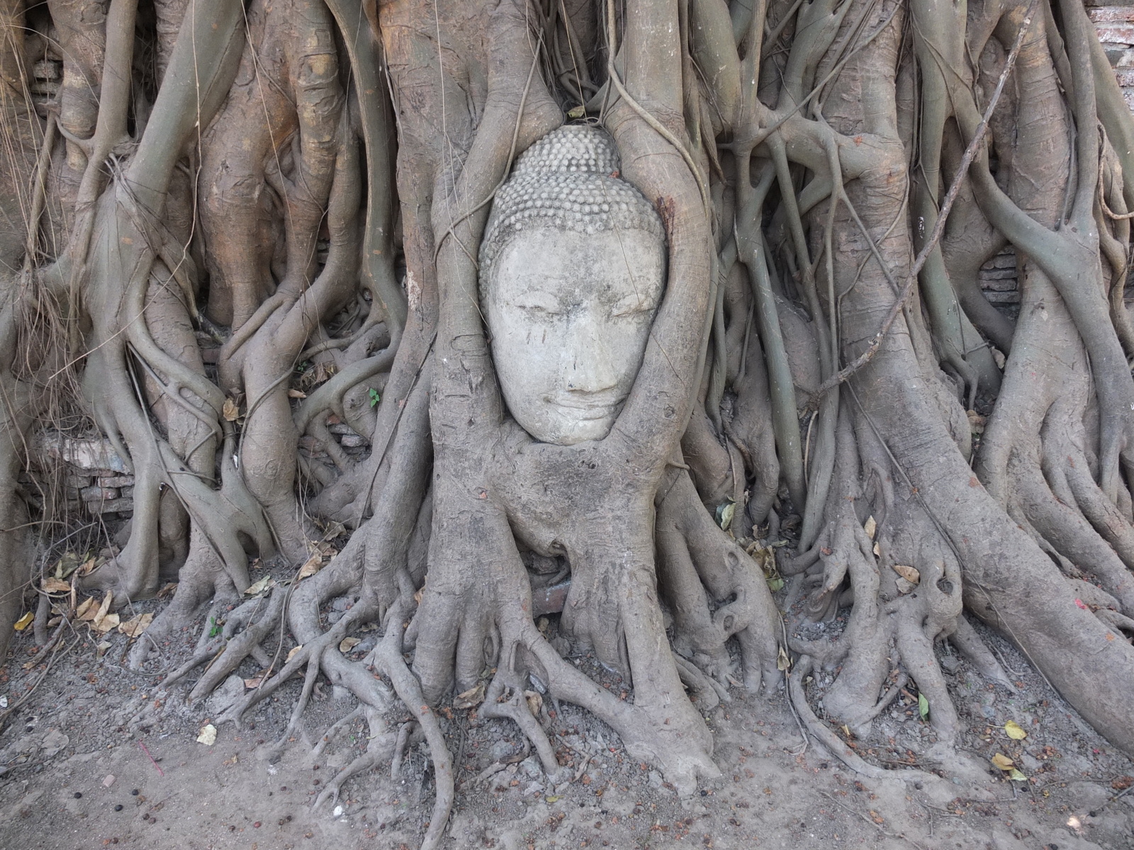 Picture Thailand Ayutthaya 2011-12 42 - Picture Ayutthaya