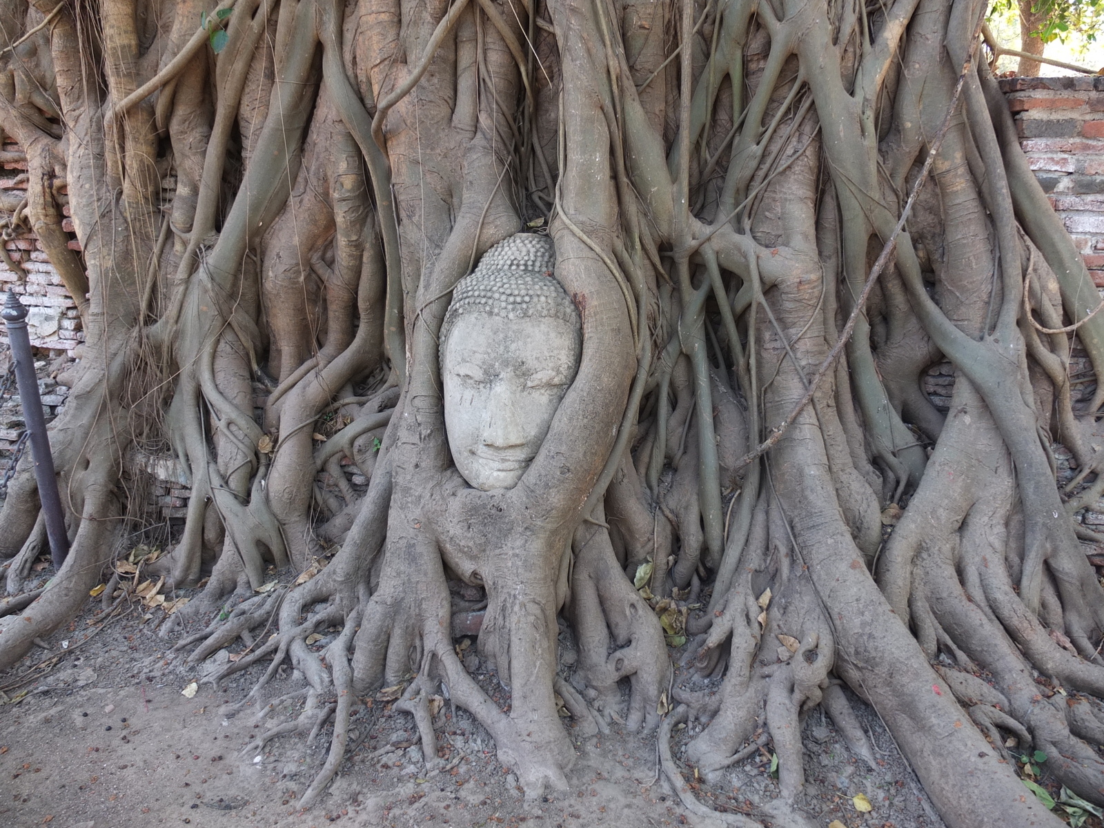 Picture Thailand Ayutthaya 2011-12 11 - Trips Ayutthaya