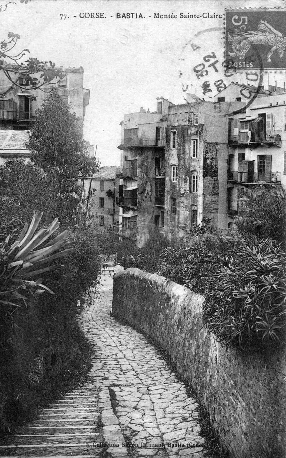 Picture France Corsica Old Postcards bastia 1900-01 136 - Shopping Mall bastia