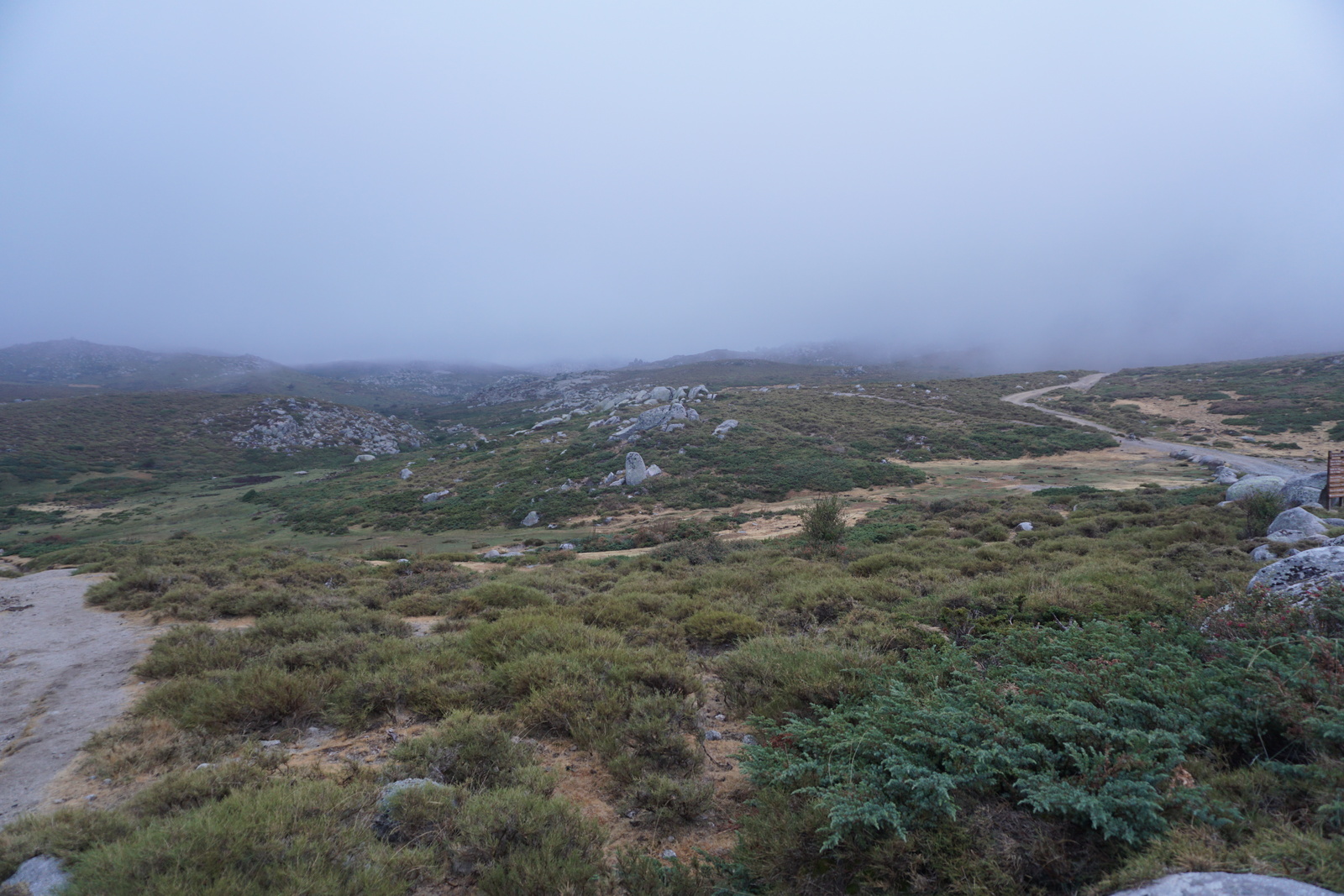 Picture France Corsica Alta Rocca 2017-09 36 - Road Alta Rocca