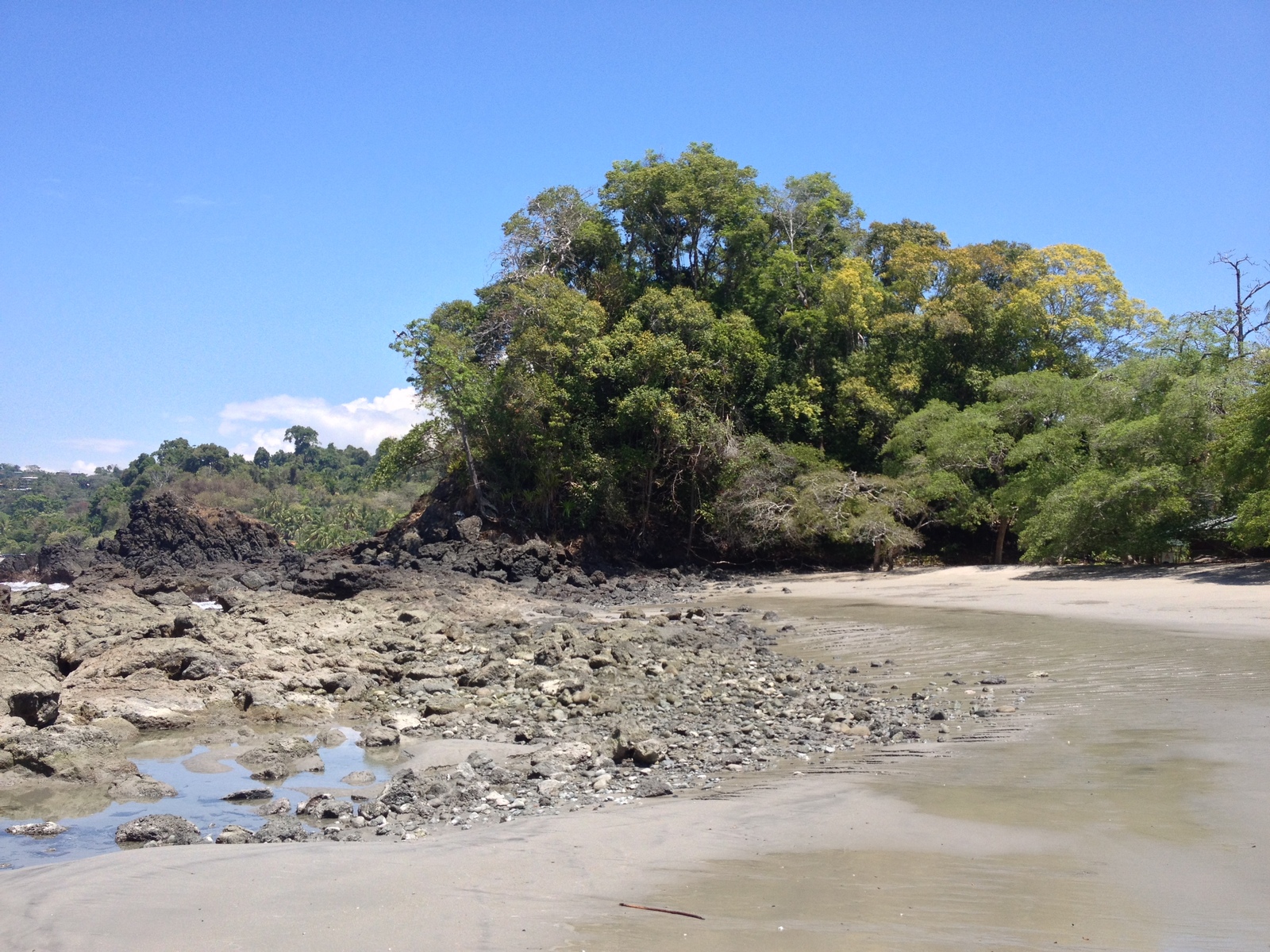 Picture Costa Rica Manuel Antonio 2015-03 104 - Tourist Places Manuel Antonio