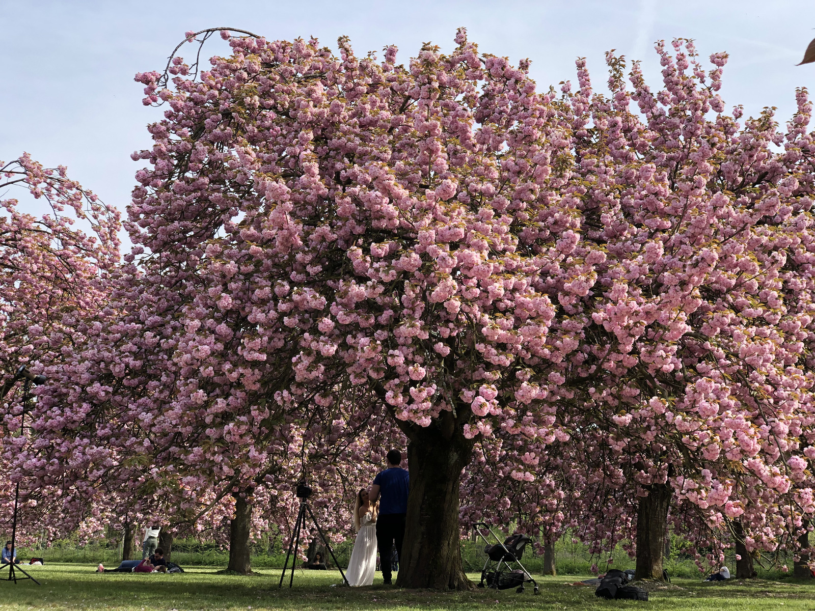 Picture France Parc de Sceaux 2019-04 31 - Journey Parc de Sceaux