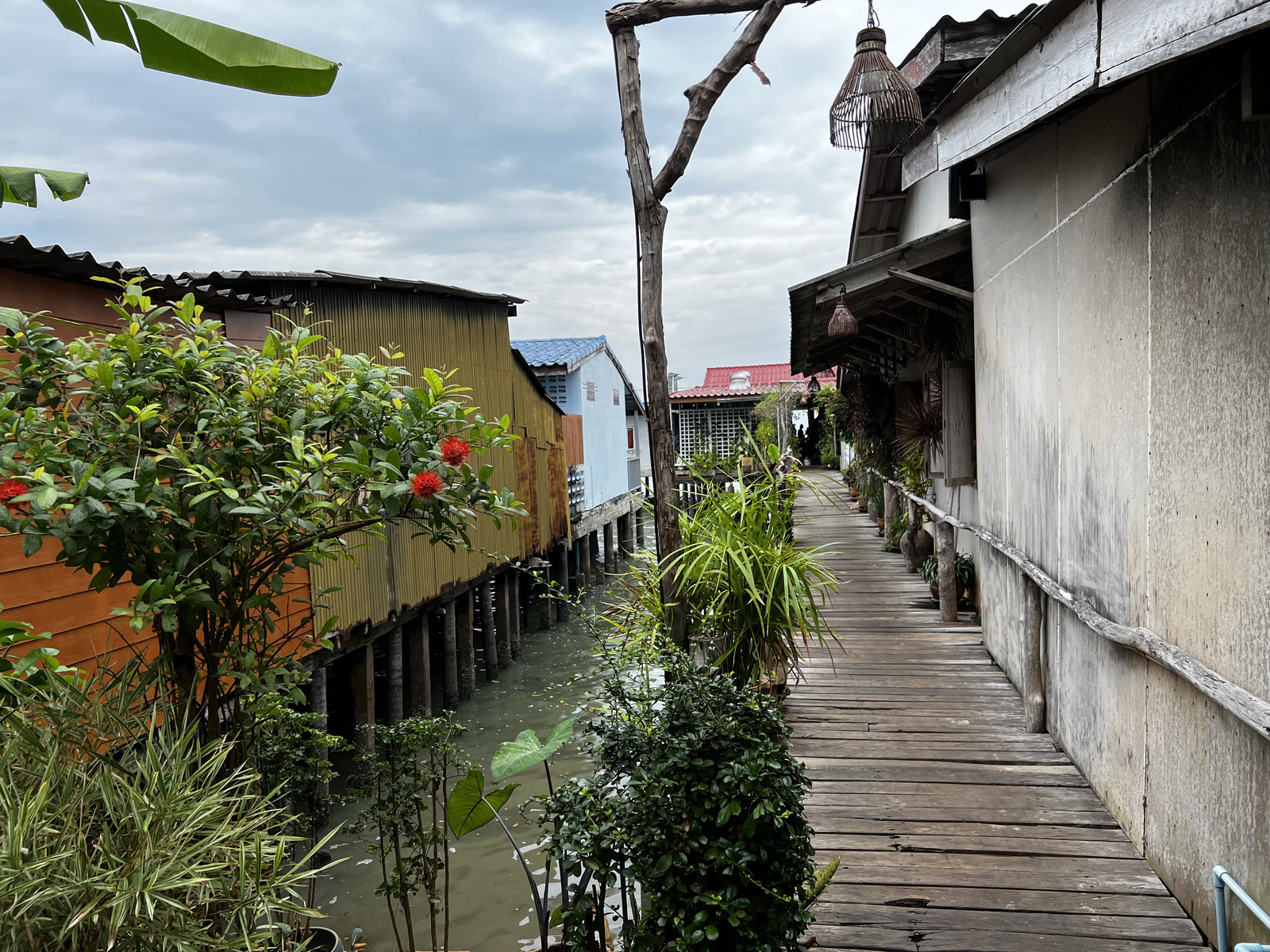 Picture Thailand Ko Lanta 2023-01 212 - Photographer Ko Lanta