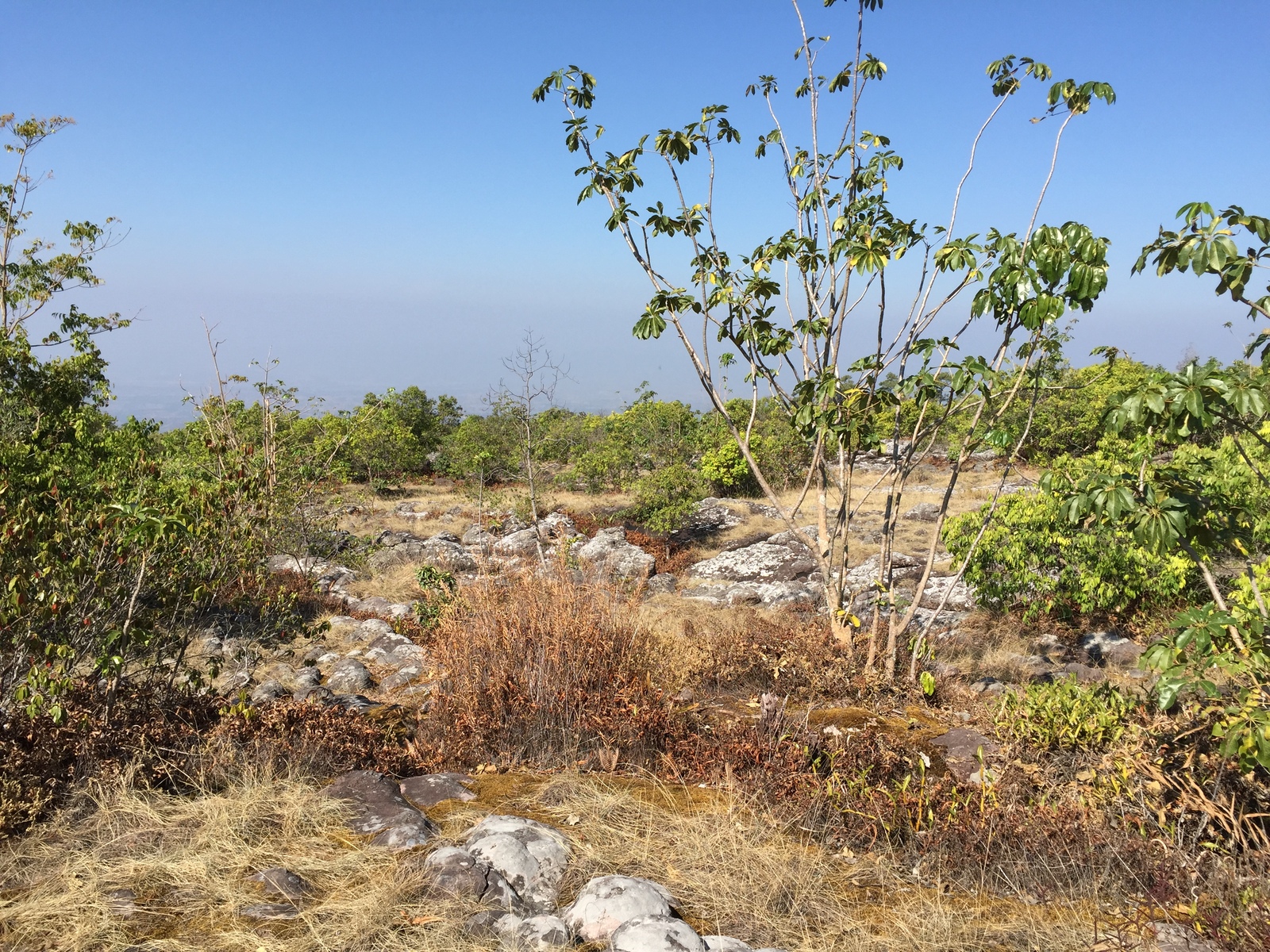 Picture Thailand Phu Hin Rong Kla National Park 2014-12 101 - Visit Phu Hin Rong Kla National Park